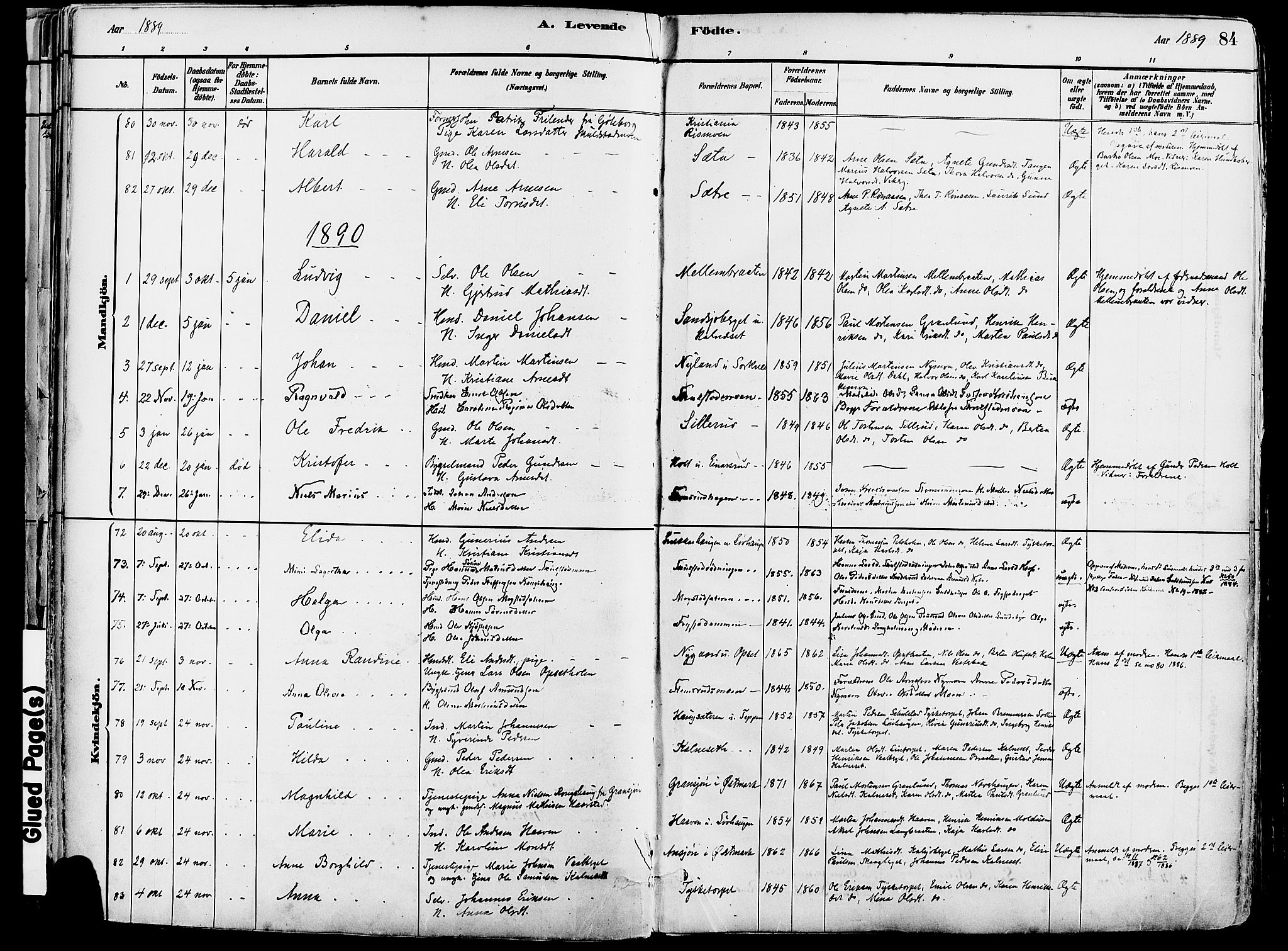 Grue prestekontor, SAH/PREST-036/H/Ha/Haa/L0012: Parish register (official) no. 12, 1881-1897, p. 84