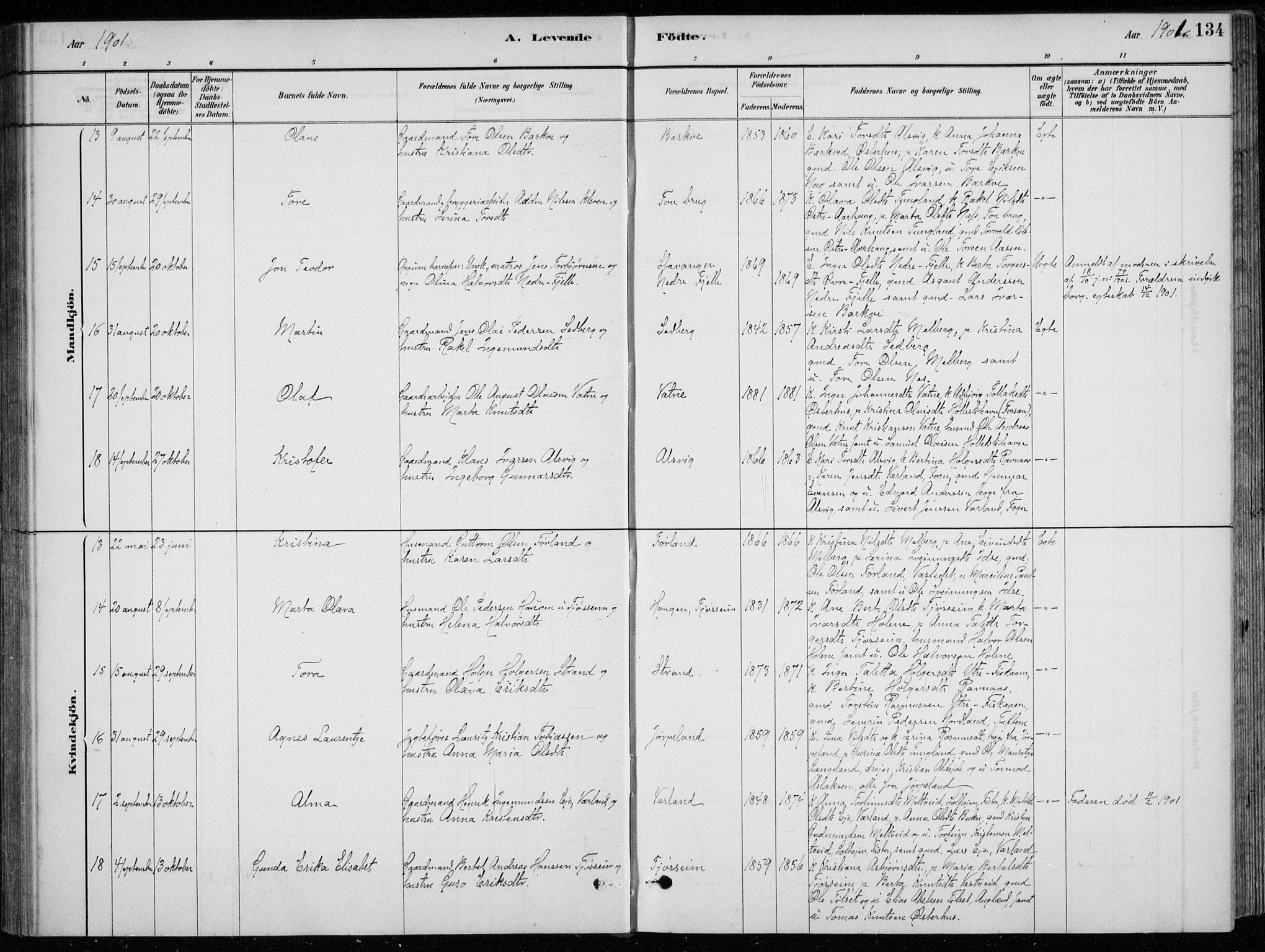 Strand sokneprestkontor, AV/SAST-A-101828/H/Ha/Hab/L0004: Parish register (copy) no. B 4, 1878-1903, p. 134