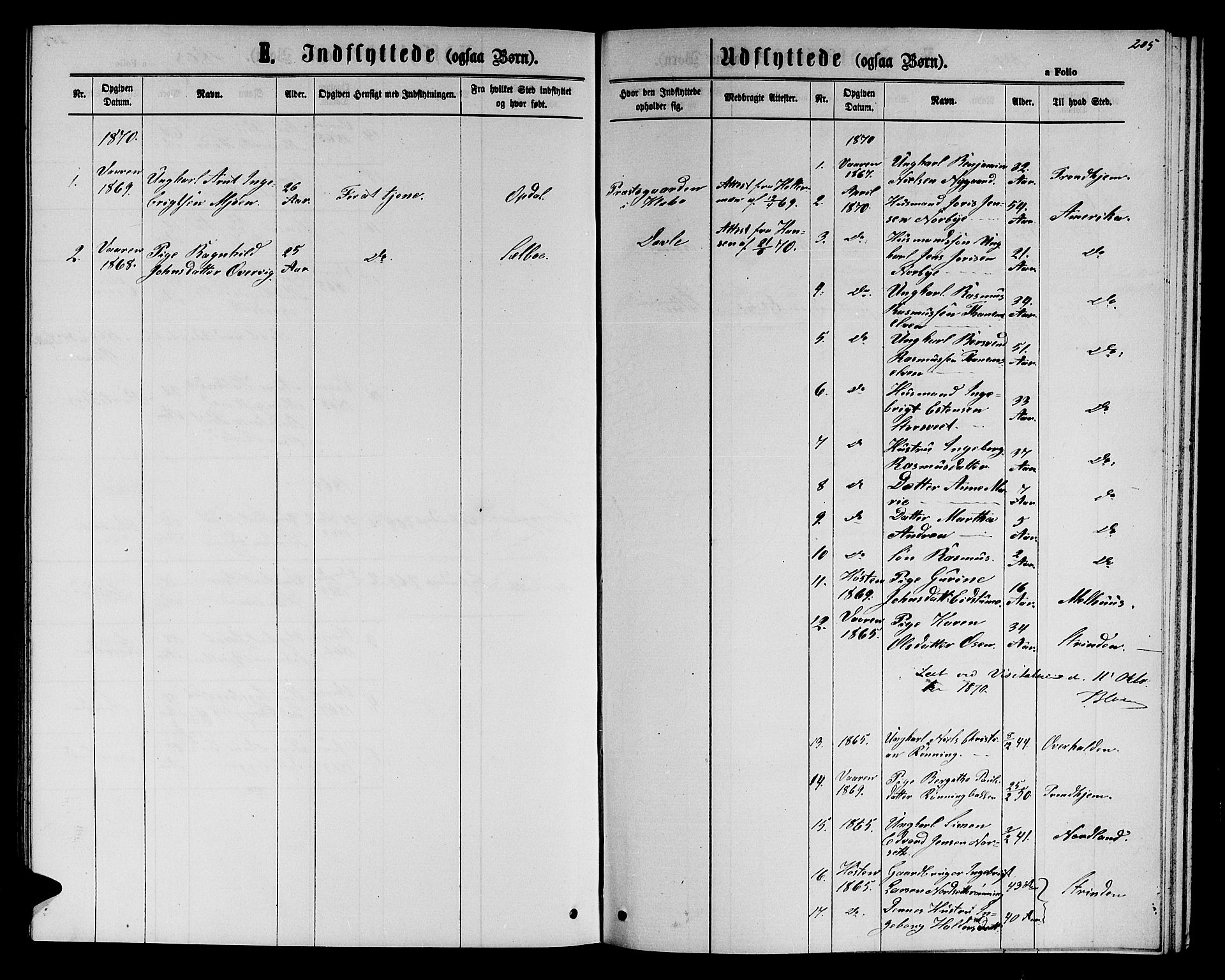 Ministerialprotokoller, klokkerbøker og fødselsregistre - Sør-Trøndelag, SAT/A-1456/618/L0451: Parish register (copy) no. 618C02, 1865-1883, p. 205