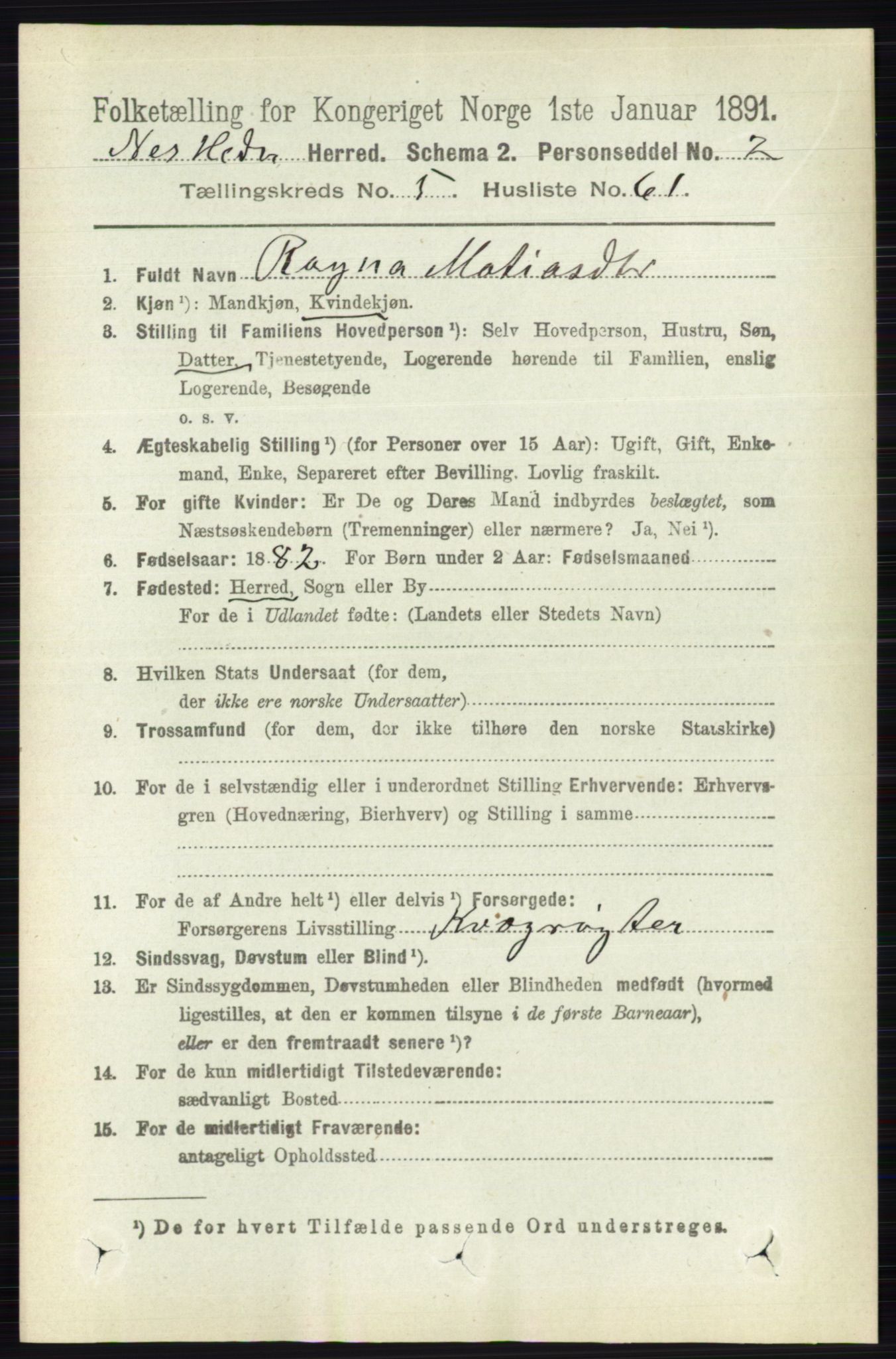 RA, 1891 census for 0411 Nes, 1891, p. 2999