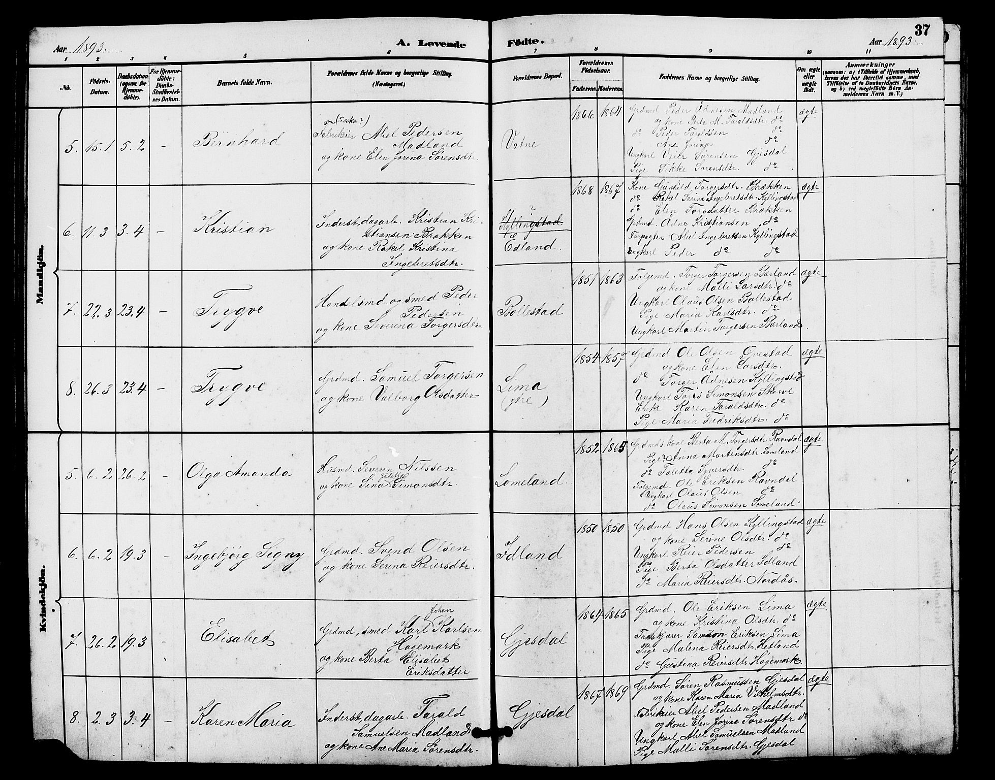 Lye sokneprestkontor, AV/SAST-A-101794/001/30BB/L0008: Parish register (copy) no. B 7, 1887-1901, p. 37