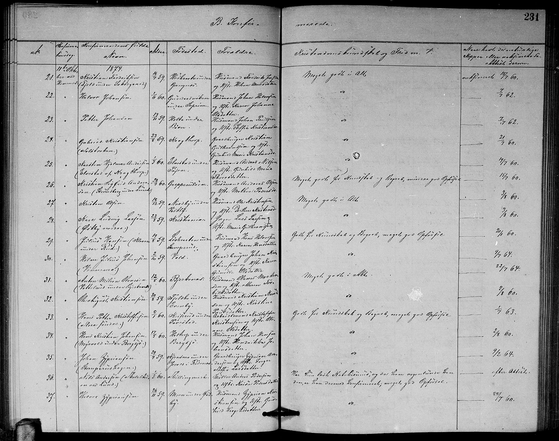 Høland prestekontor Kirkebøker, AV/SAO-A-10346a/G/Ga/L0006: Parish register (copy) no. I 6, 1869-1879, p. 231