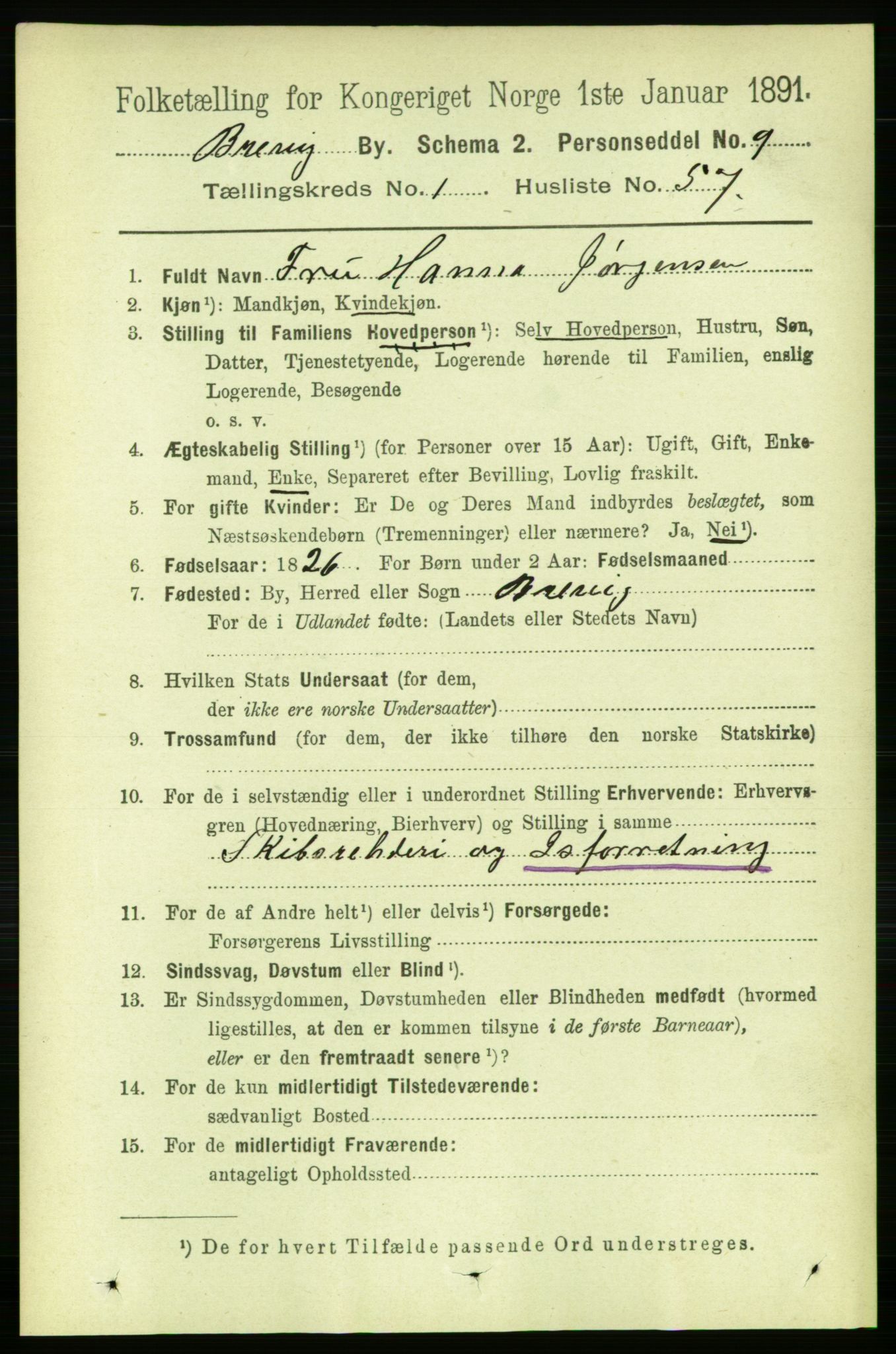 RA, 1891 census for 0804 Brevik, 1891, p. 1177