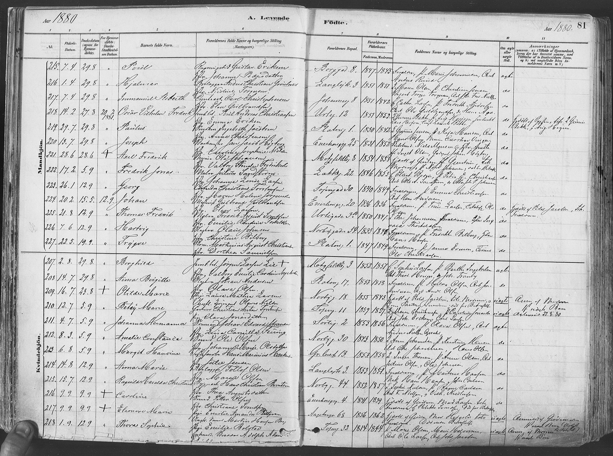 Grønland prestekontor Kirkebøker, AV/SAO-A-10848/F/Fa/L0007: Parish register (official) no. 7, 1878-1888, p. 81