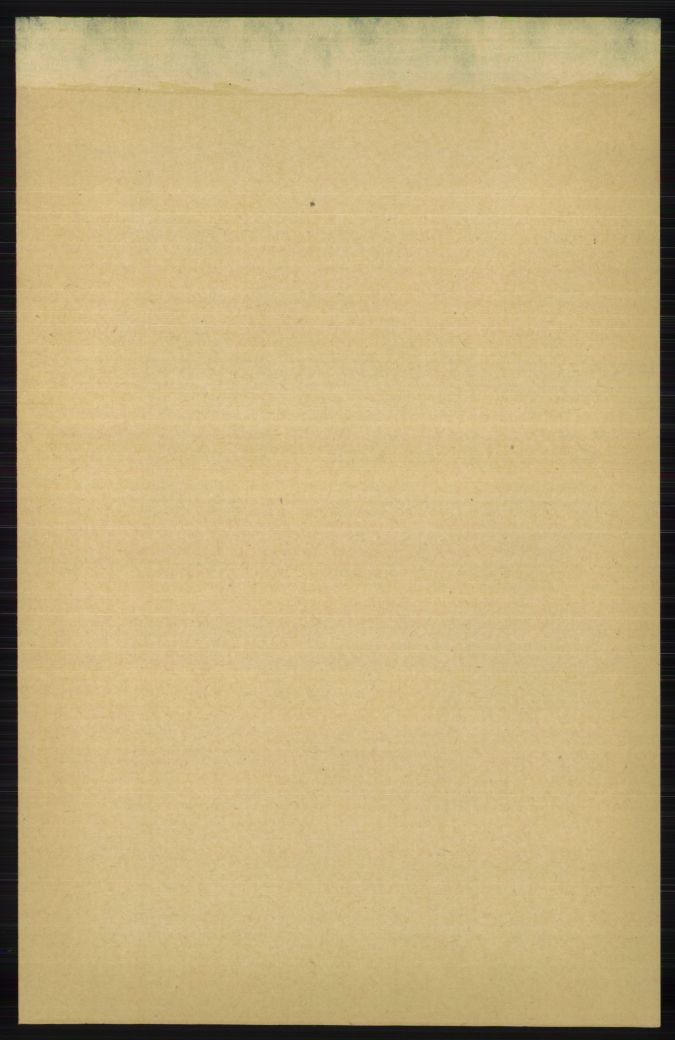 RA, 1891 census for 1150 Skudenes, 1891, p. 107