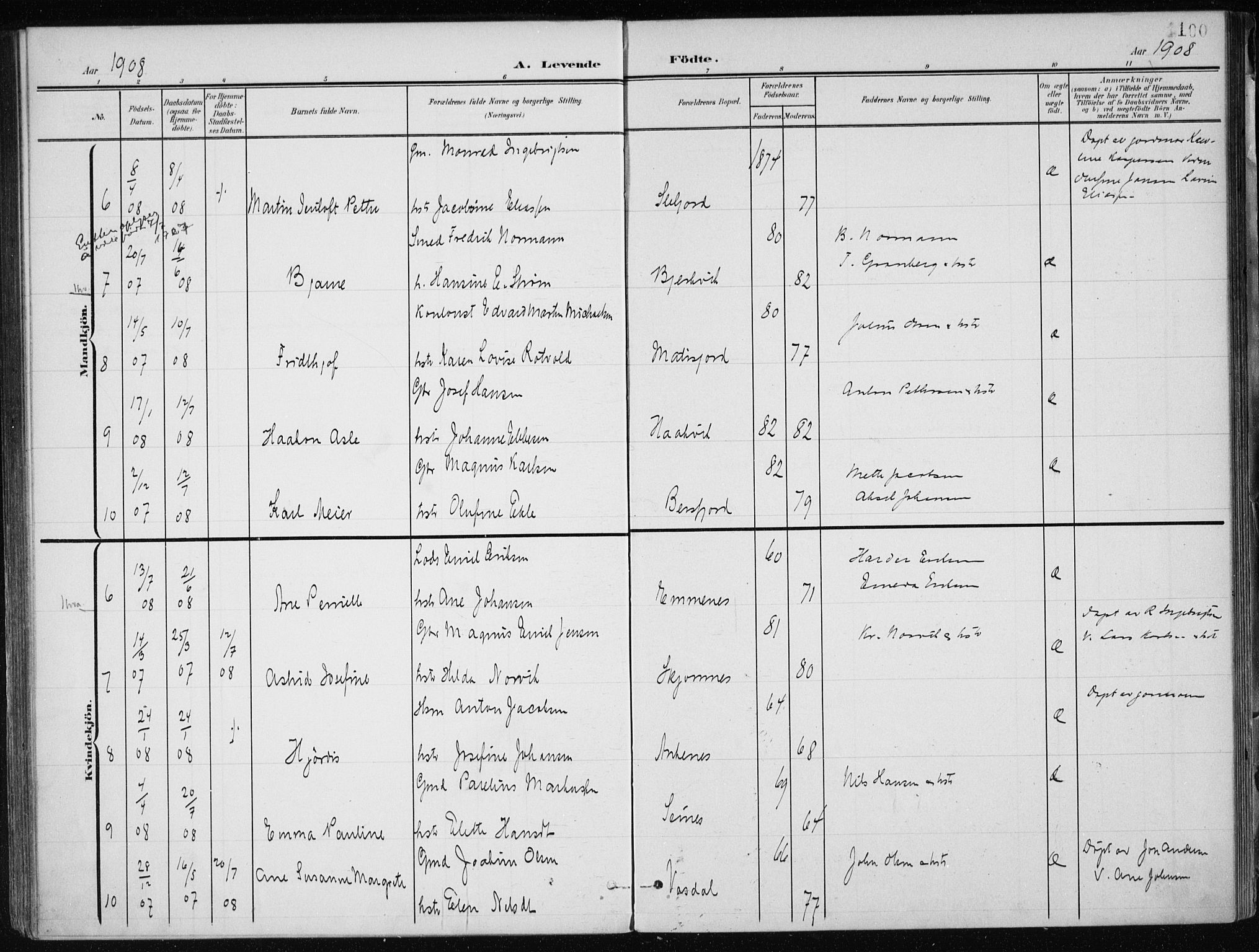 Ministerialprotokoller, klokkerbøker og fødselsregistre - Nordland, AV/SAT-A-1459/866/L0941: Parish register (official) no. 866A04, 1901-1917, p. 100