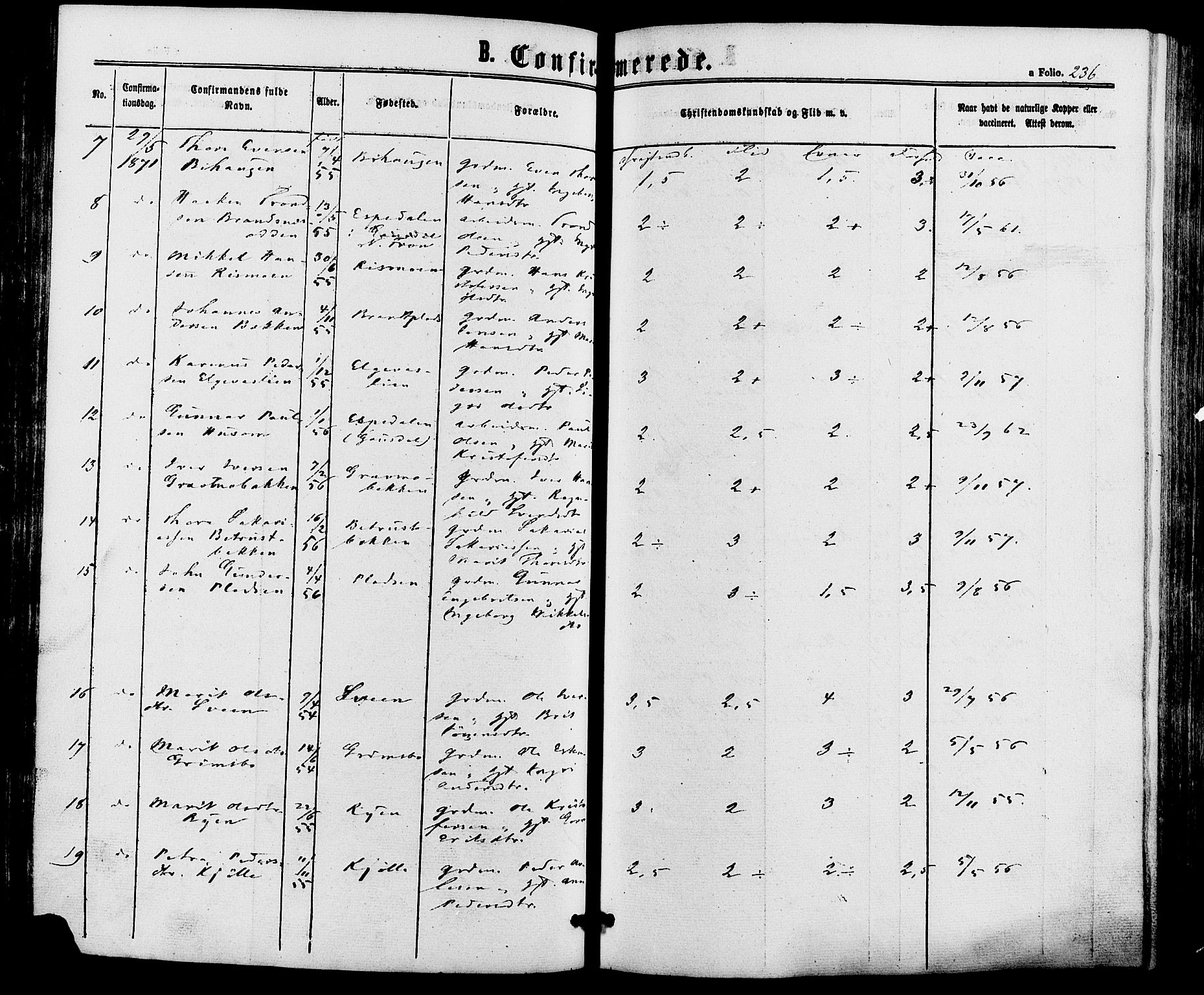 Alvdal prestekontor, AV/SAH-PREST-060/H/Ha/Haa/L0001: Parish register (official) no. 1, 1863-1882, p. 236