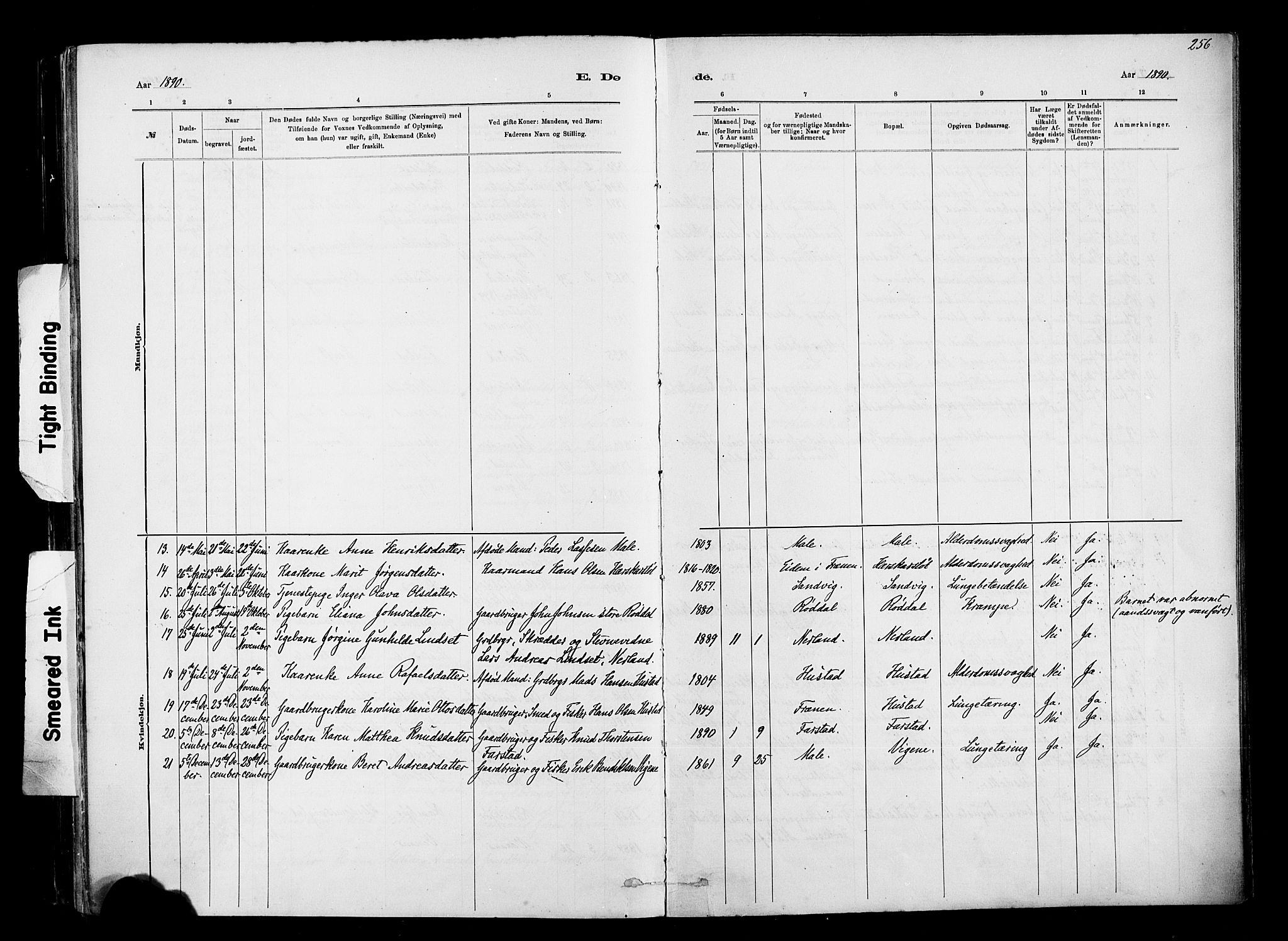 Ministerialprotokoller, klokkerbøker og fødselsregistre - Møre og Romsdal, AV/SAT-A-1454/567/L0778: Parish register (official) no. 567A01, 1881-1903, p. 256