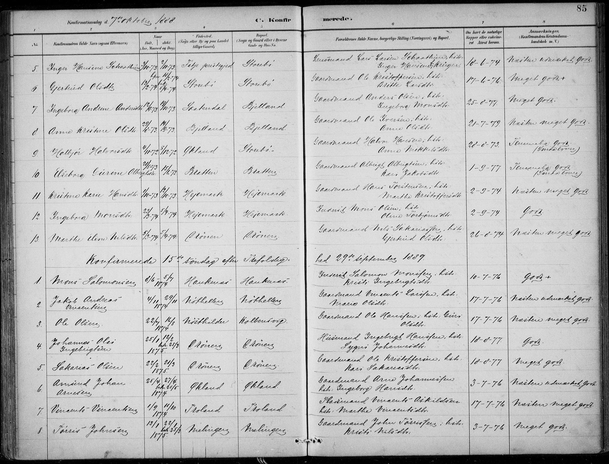 Sund sokneprestembete, SAB/A-99930: Parish register (official) no. C  1, 1882-1899, p. 85