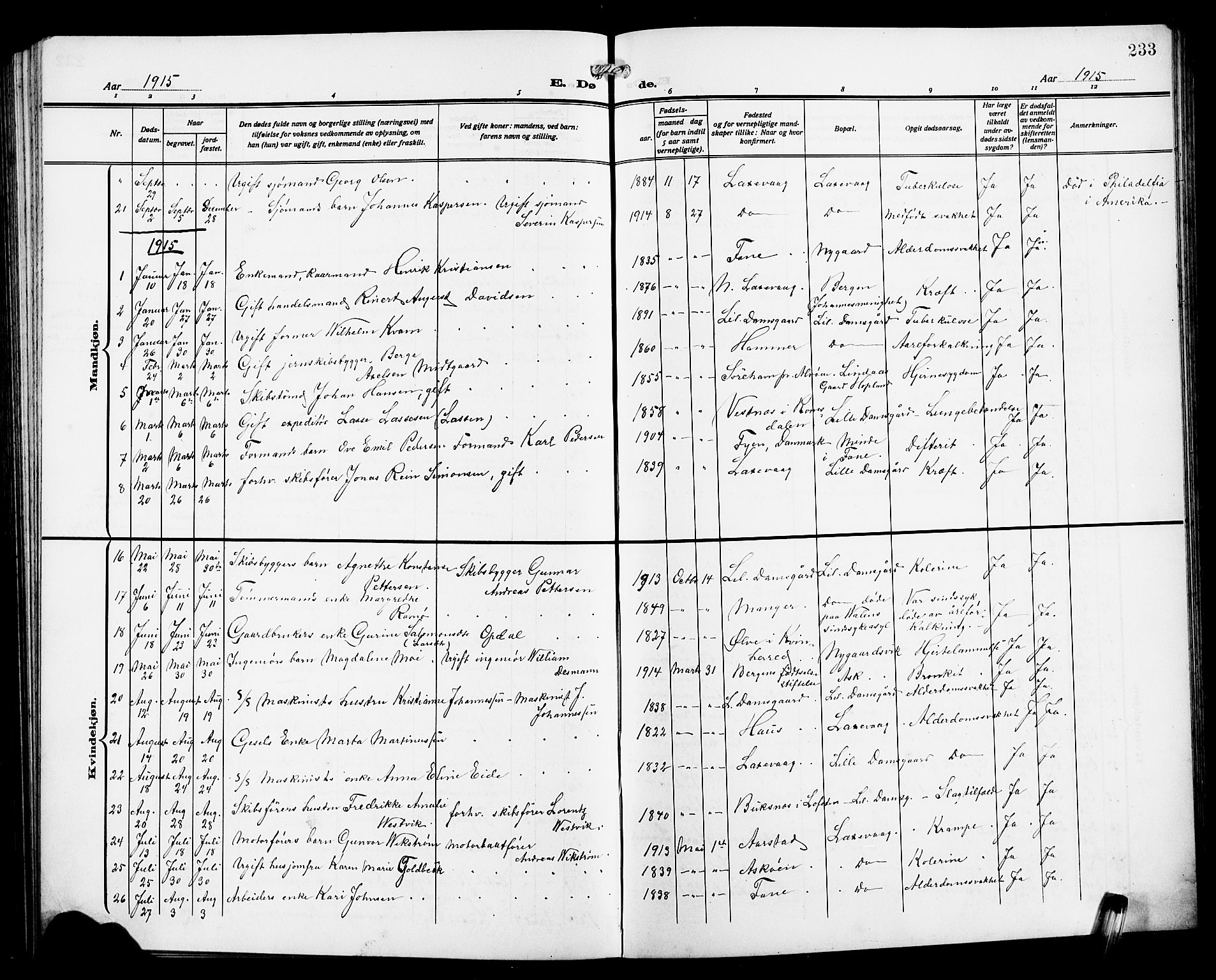 Laksevåg Sokneprestembete, SAB/A-76501/H/Ha/Hab/Haba/L0005: Parish register (copy) no. A 5, 1910-1917, p. 233
