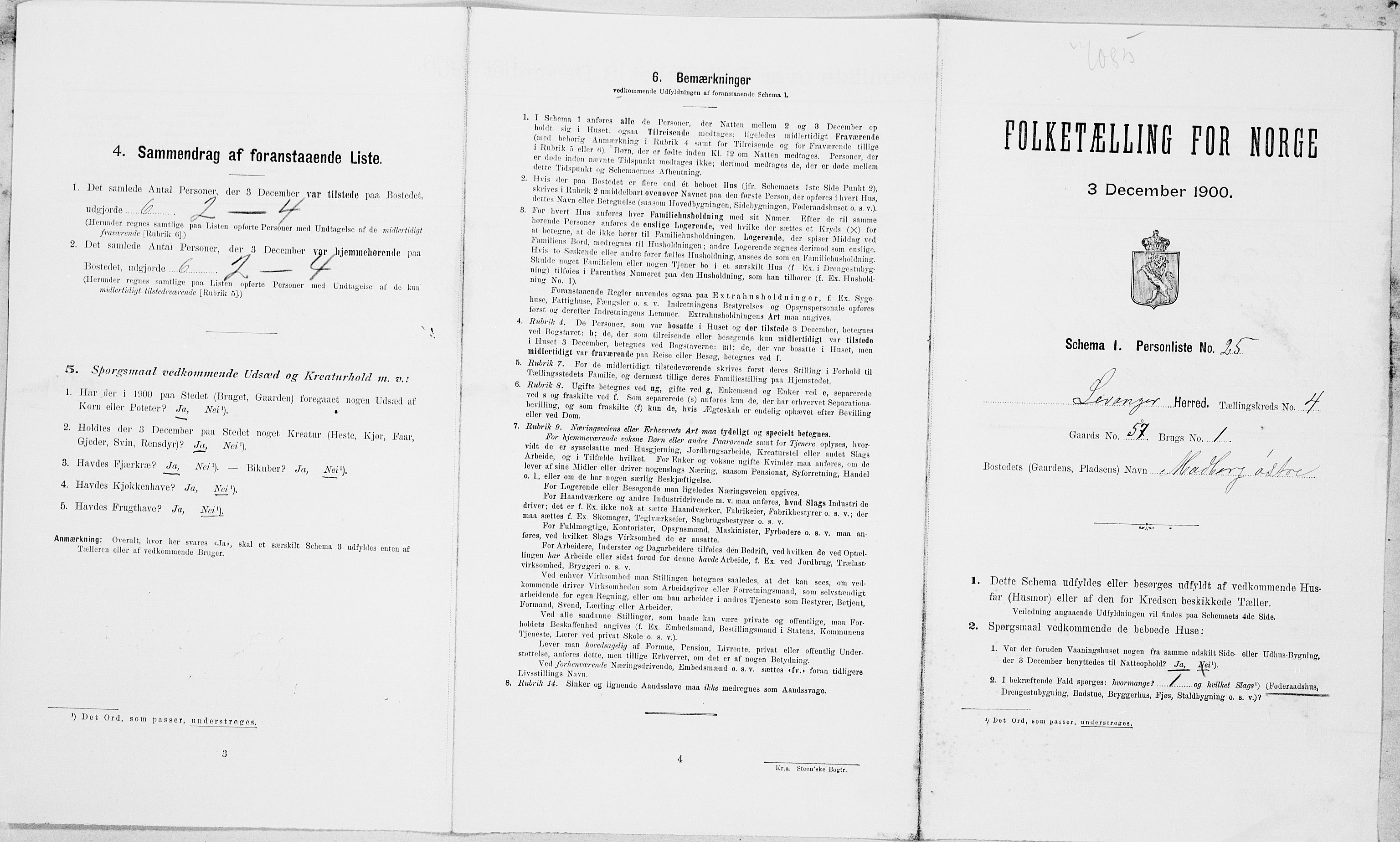 SAT, 1900 census for Levanger, 1900, p. 657