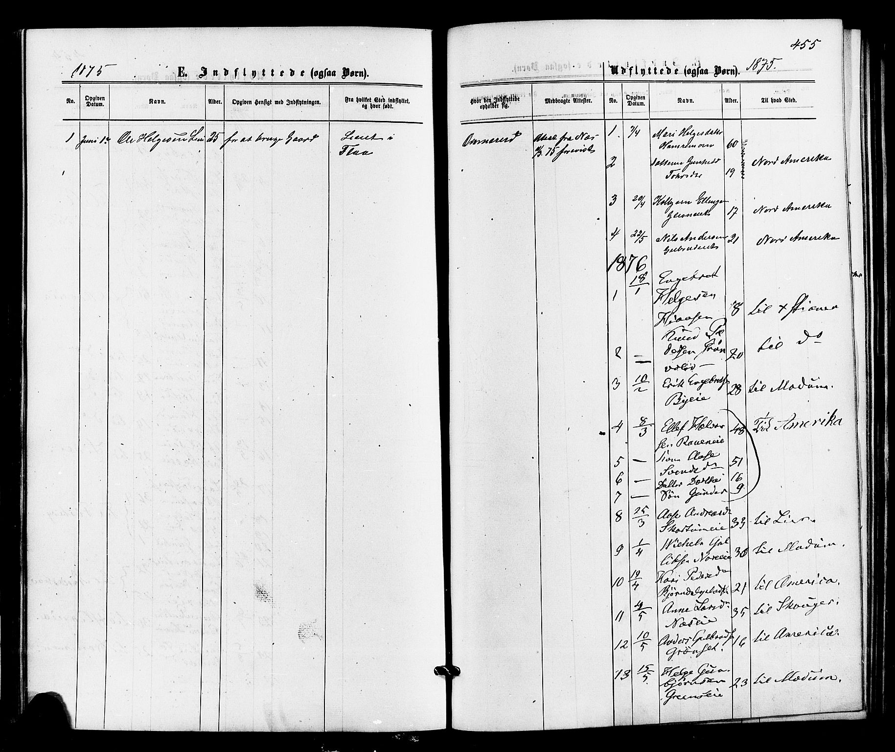 Sigdal kirkebøker, AV/SAKO-A-245/F/Fa/L0010: Parish register (official) no. I 10 /1, 1872-1878, p. 455