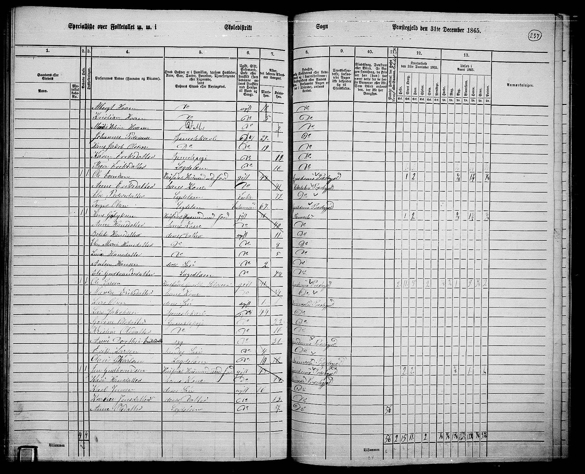 RA, 1865 census for Nannestad, 1865, p. 114