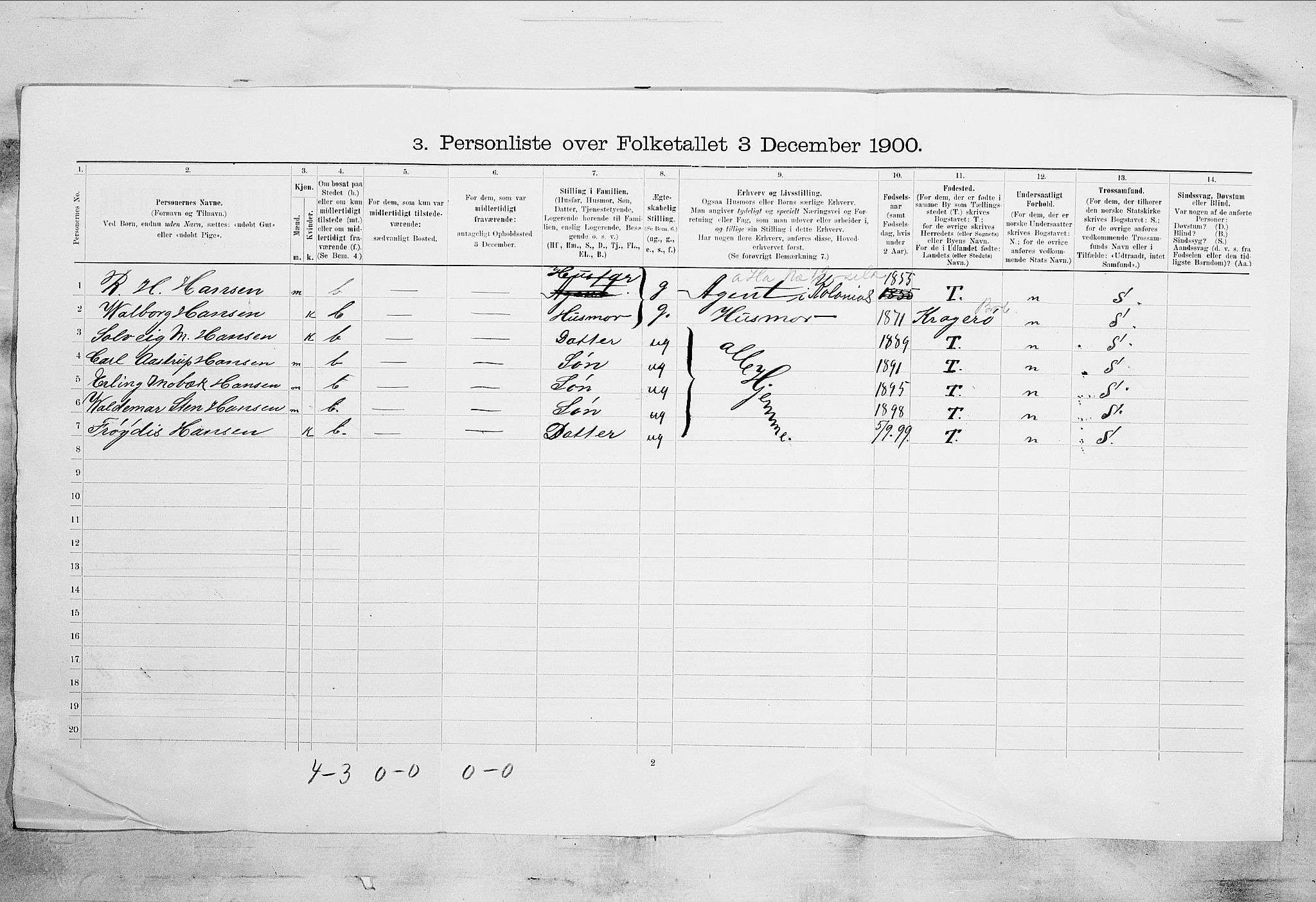 SAKO, 1900 census for Skien, 1900, p. 1424