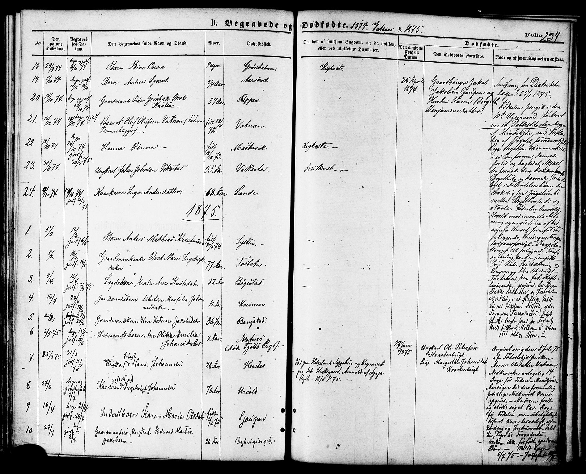 Ministerialprotokoller, klokkerbøker og fødselsregistre - Nordland, AV/SAT-A-1459/810/L0148: Parish register (official) no. 810A09 /1, 1874-1884, p. 234