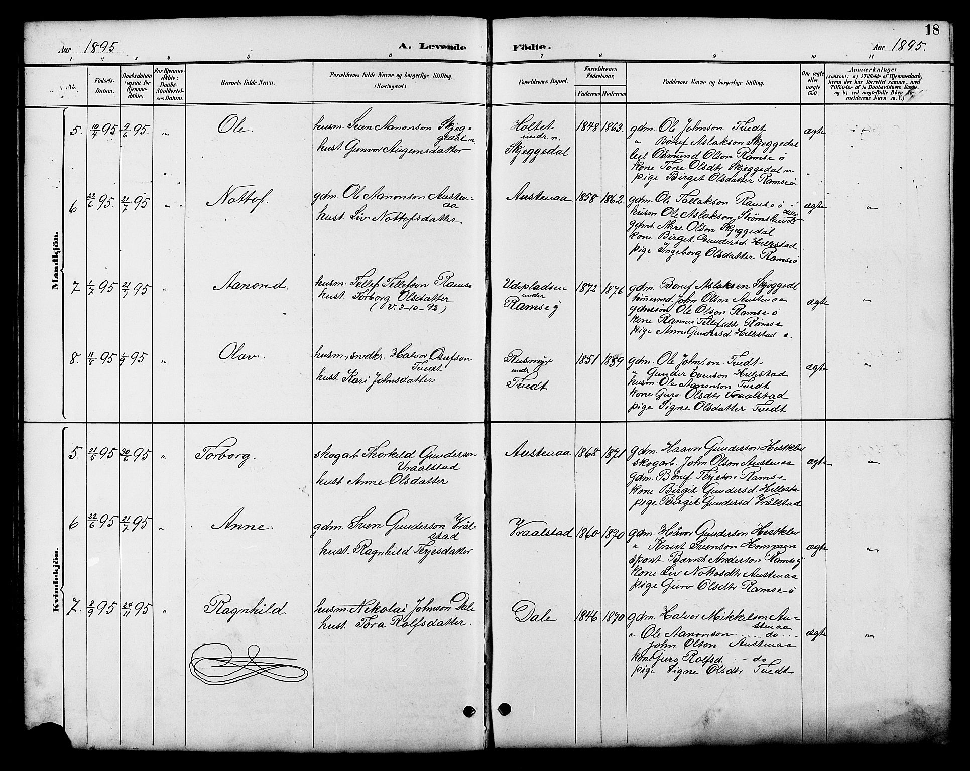 Åmli sokneprestkontor, AV/SAK-1111-0050/F/Fb/Fbb/L0002: Parish register (copy) no. B 2, 1890-1905, p. 18