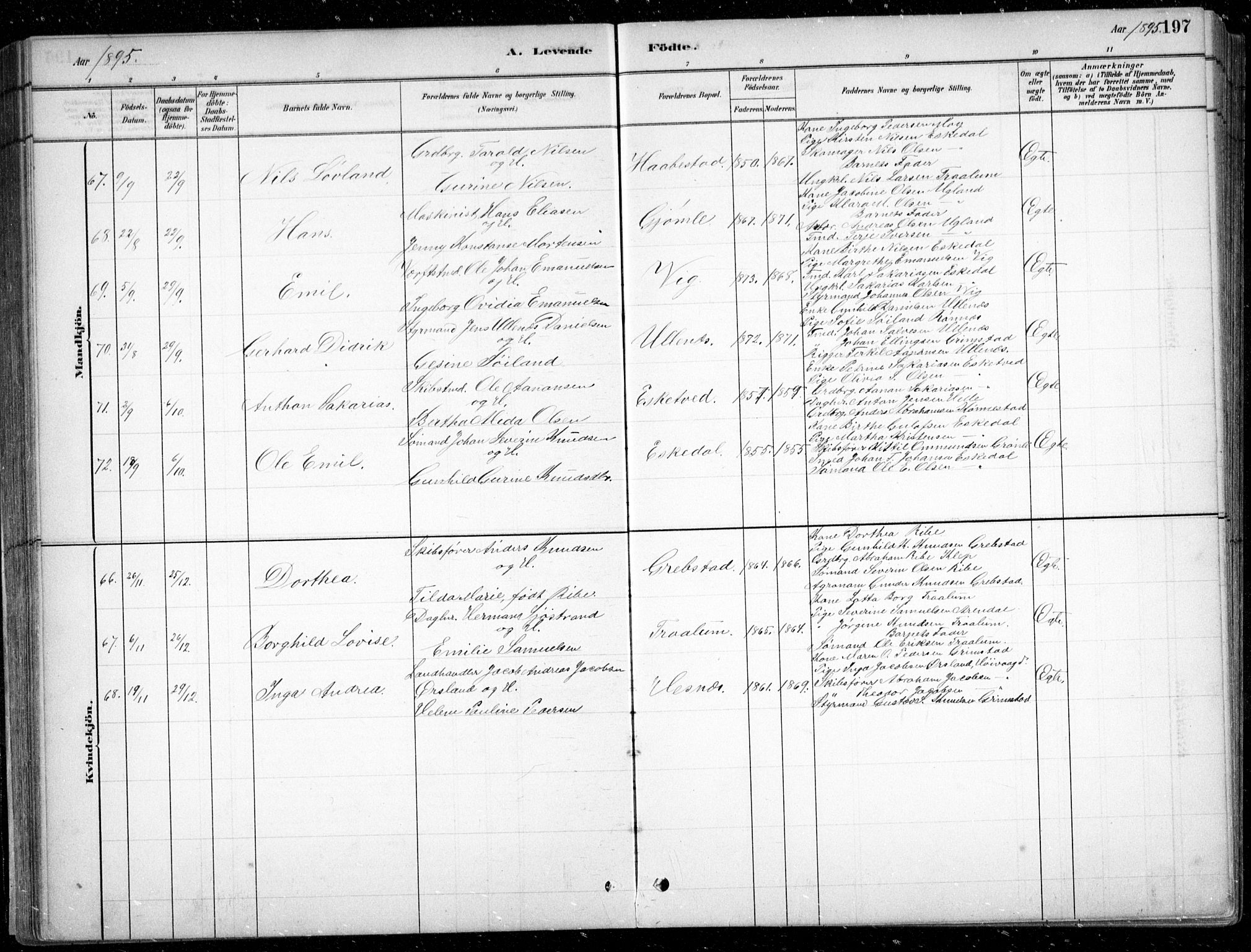 Fjære sokneprestkontor, AV/SAK-1111-0011/F/Fb/L0011: Parish register (copy) no. B 11, 1881-1905, p. 197