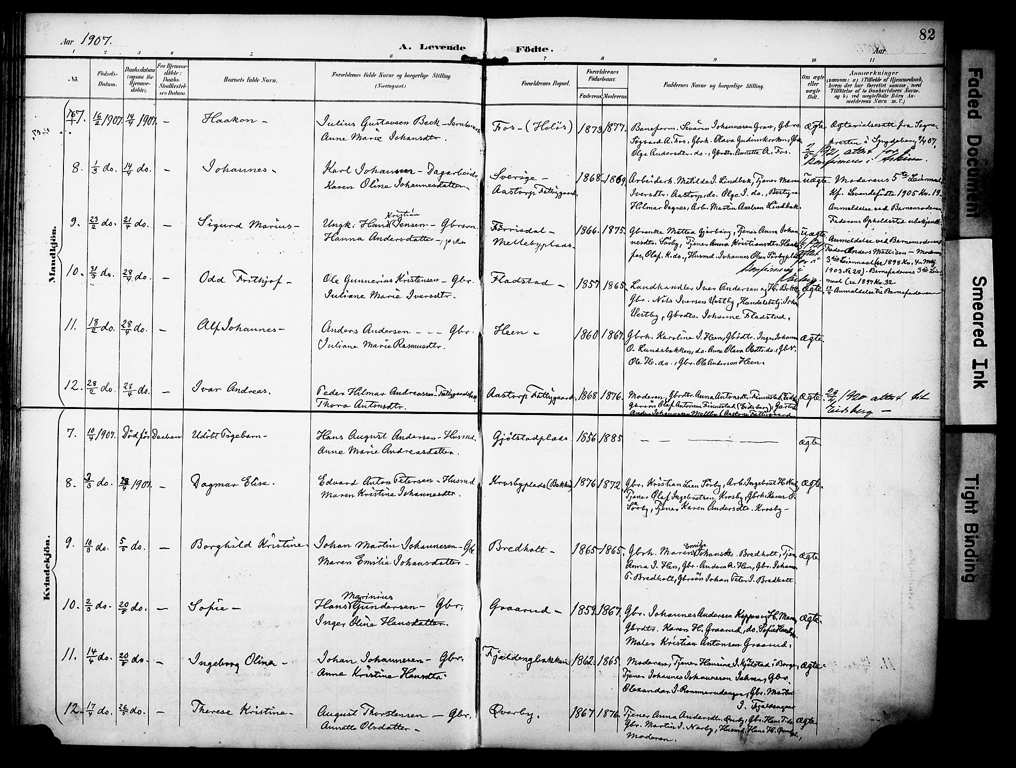 Rakkestad prestekontor Kirkebøker, AV/SAO-A-2008/F/Fa/L0013: Parish register (official) no. I 13, 1894-1908, p. 82