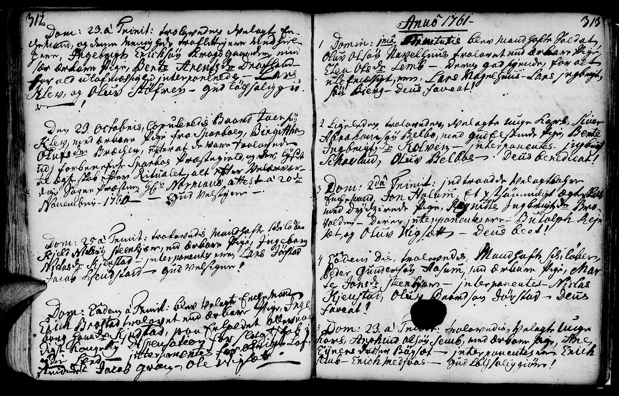 Ministerialprotokoller, klokkerbøker og fødselsregistre - Nord-Trøndelag, SAT/A-1458/749/L0467: Parish register (official) no. 749A01, 1733-1787, p. 312-313