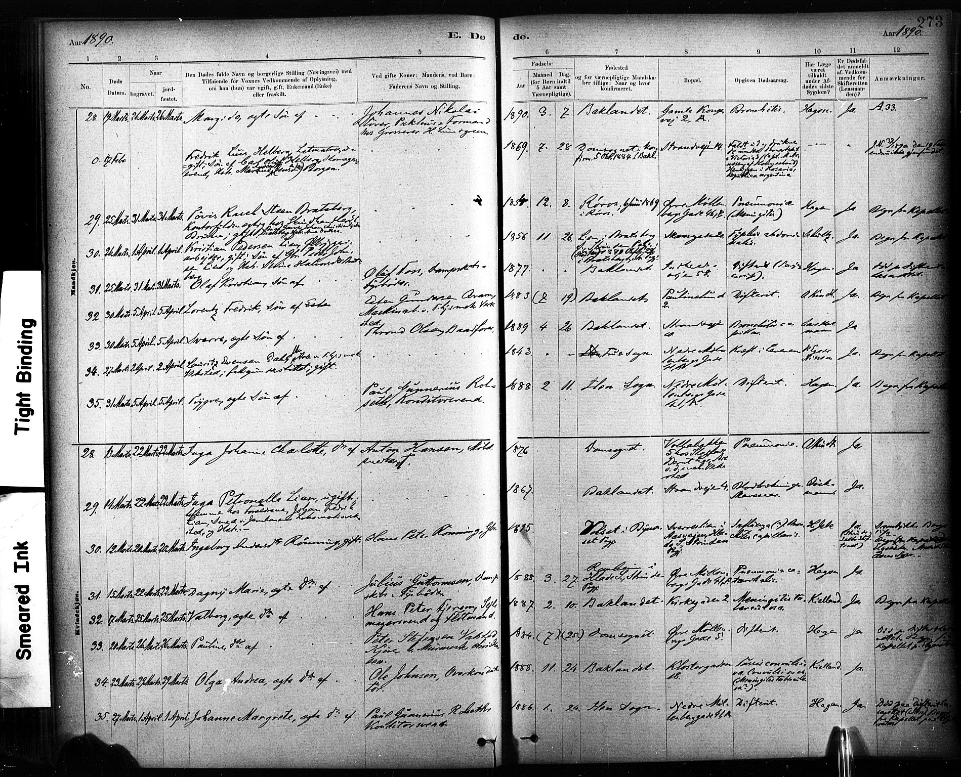 Ministerialprotokoller, klokkerbøker og fødselsregistre - Sør-Trøndelag, AV/SAT-A-1456/604/L0189: Parish register (official) no. 604A10, 1878-1892, p. 273