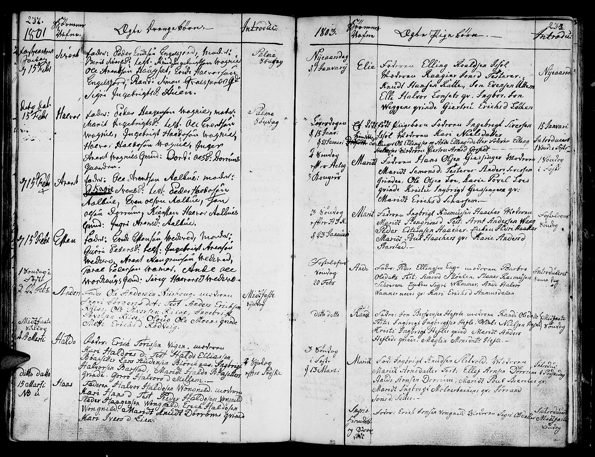 Ministerialprotokoller, klokkerbøker og fødselsregistre - Sør-Trøndelag, SAT/A-1456/678/L0893: Parish register (official) no. 678A03, 1792-1805, p. 232-233