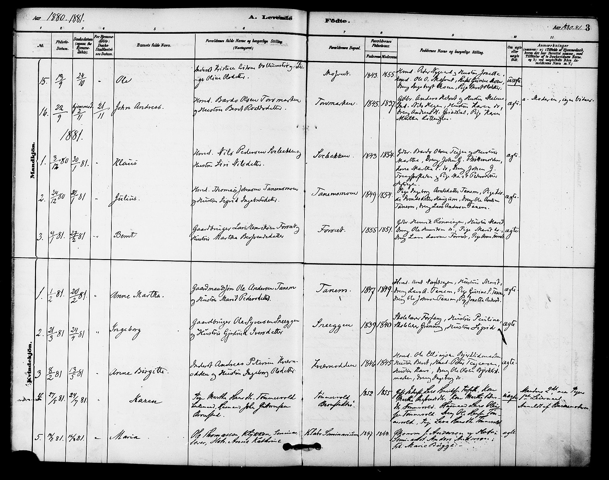 Ministerialprotokoller, klokkerbøker og fødselsregistre - Sør-Trøndelag, AV/SAT-A-1456/618/L0444: Parish register (official) no. 618A07, 1880-1898, p. 3