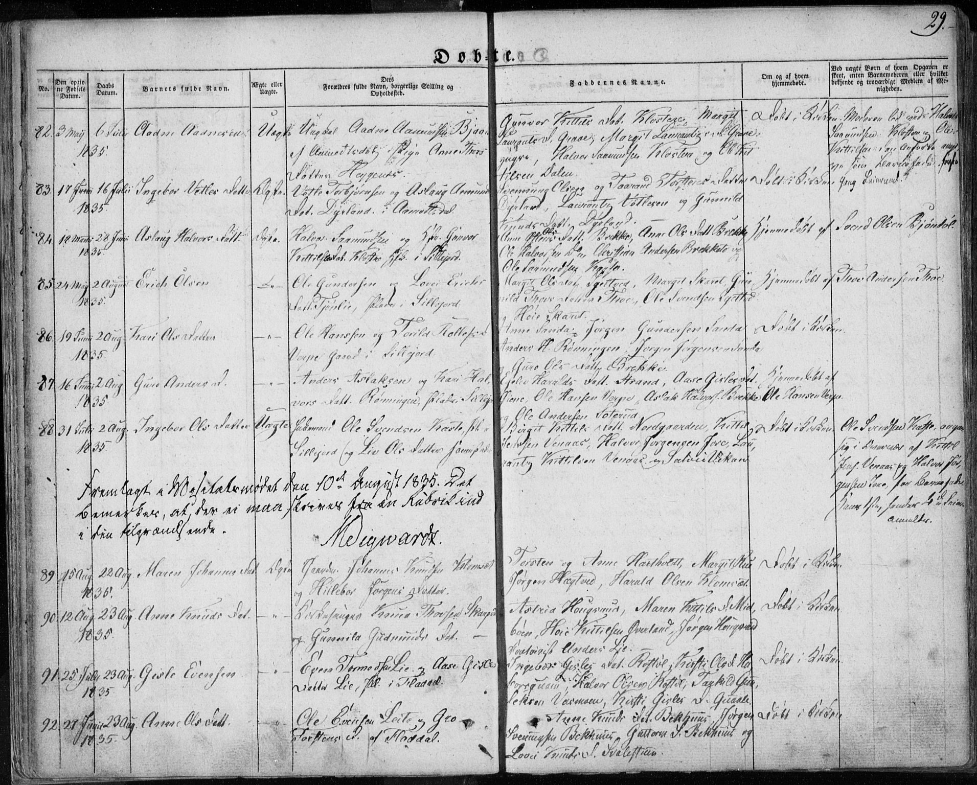 Seljord kirkebøker, AV/SAKO-A-20/F/Fa/L0011: Parish register (official) no. I 11, 1831-1849, p. 29