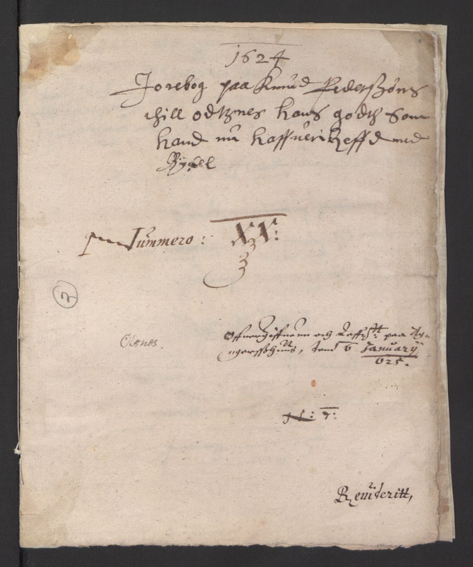 Stattholderembetet 1572-1771, AV/RA-EA-2870/Ek/L0007/0001: Jordebøker til utlikning av rosstjeneste 1624-1626: / Adelsjordebøker, 1624-1625, p. 486