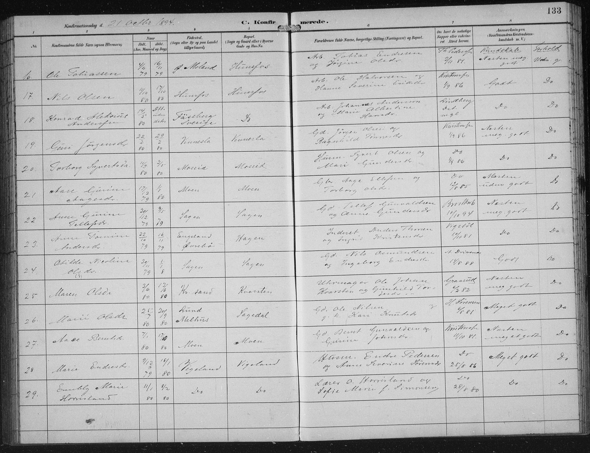 Vennesla sokneprestkontor, AV/SAK-1111-0045/Fb/Fbb/L0004: Parish register (copy) no. B 4, 1893-1902, p. 133