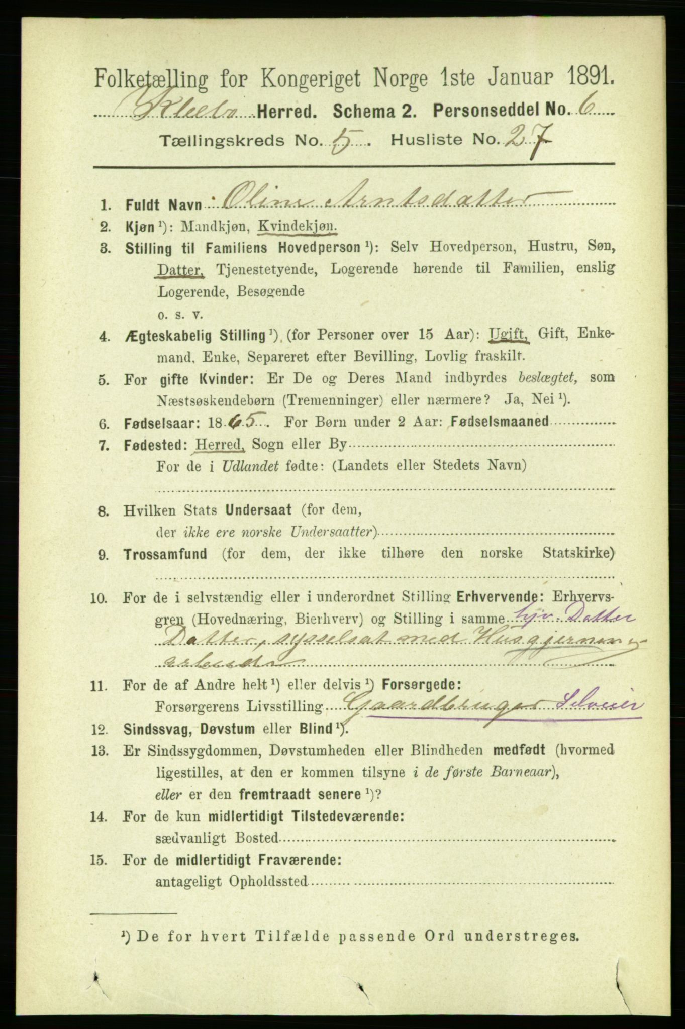 RA, 1891 census for 1662 Klæbu, 1891, p. 1196