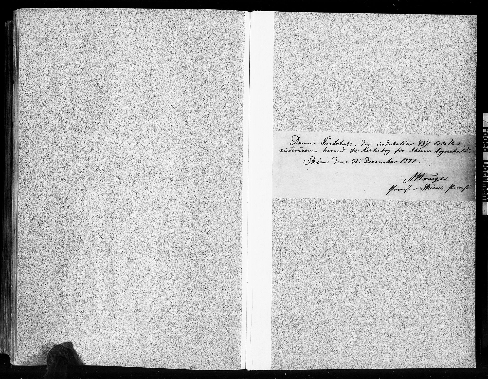 Skien kirkebøker, AV/SAKO-A-302/F/Fa/L0009: Parish register (official) no. 9, 1878-1890