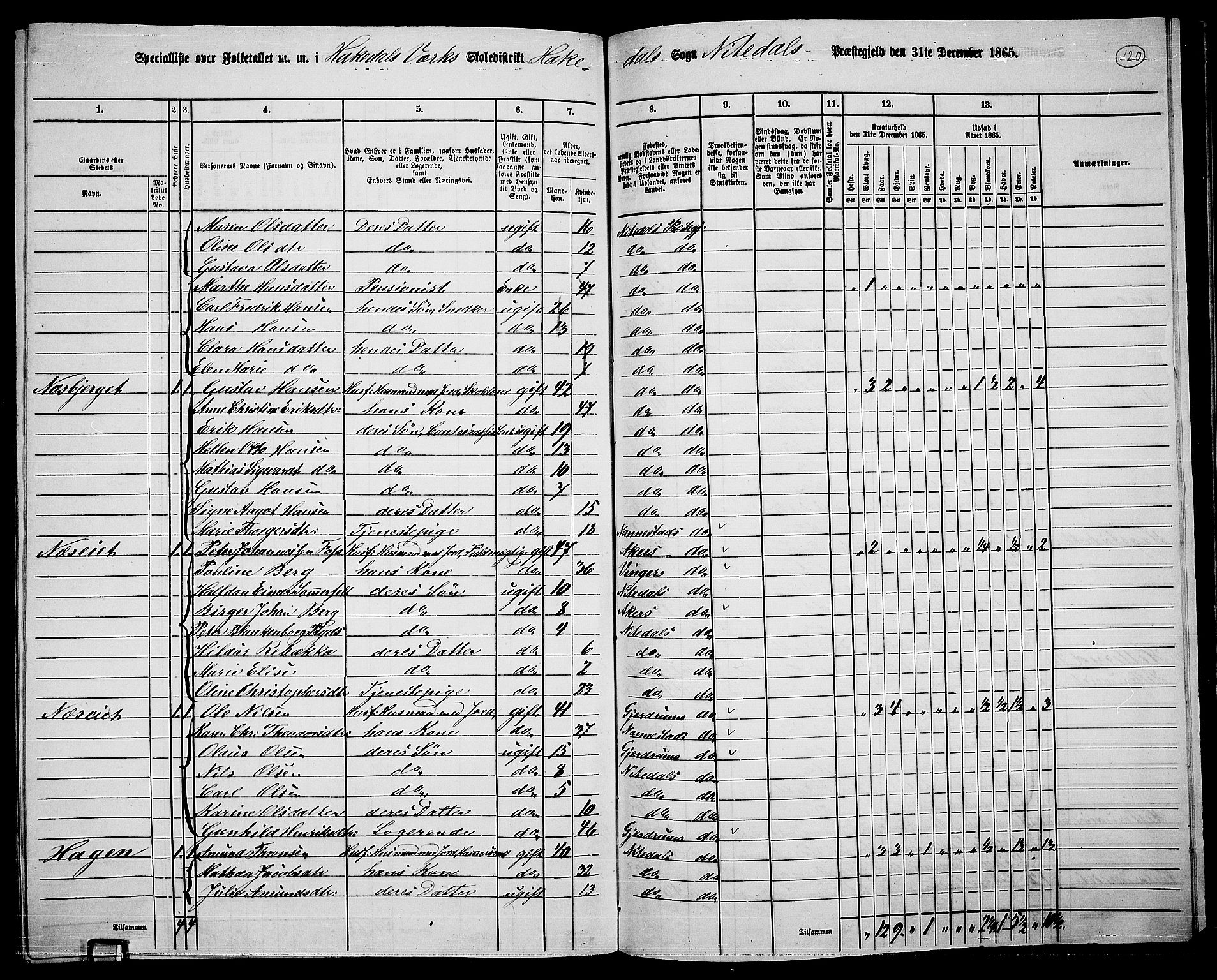 RA, 1865 census for Nittedal, 1865, p. 101