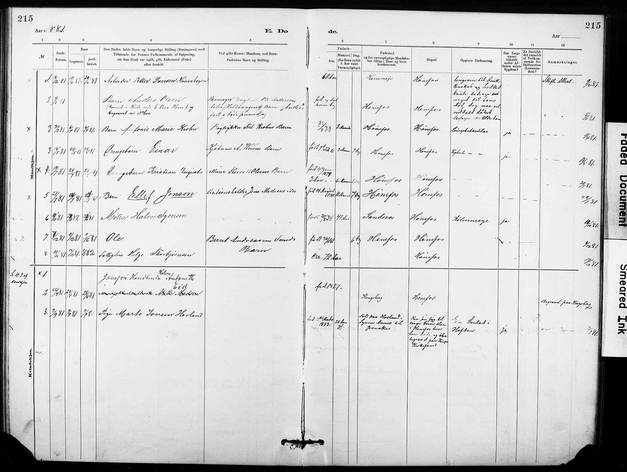 Hønefoss kirkebøker, SAKO/A-609/G/Ga/L0001: Parish register (copy) no. 1, 1870-1887, p. 215