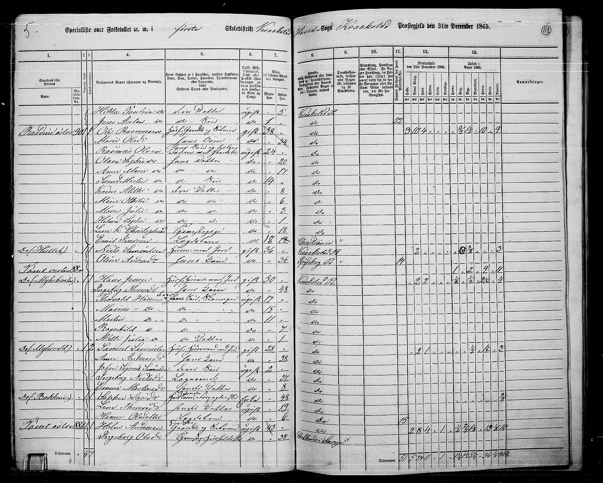 RA, 1865 census for Kråkstad, 1865, p. 100