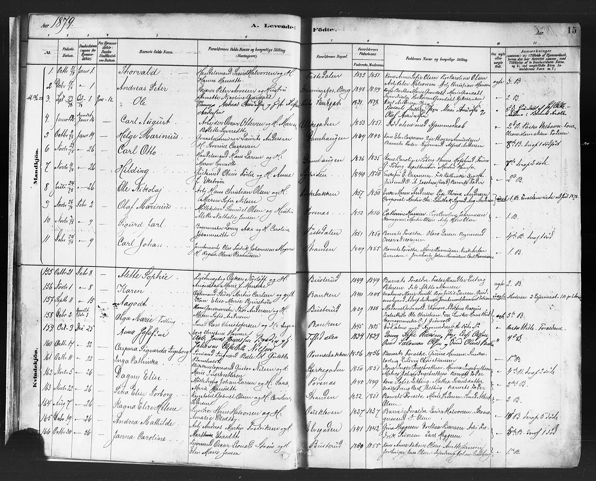 Halden prestekontor Kirkebøker, SAO/A-10909/F/Fa/L0011: Parish register (official) no. I 11, 1878-1889, p. 15