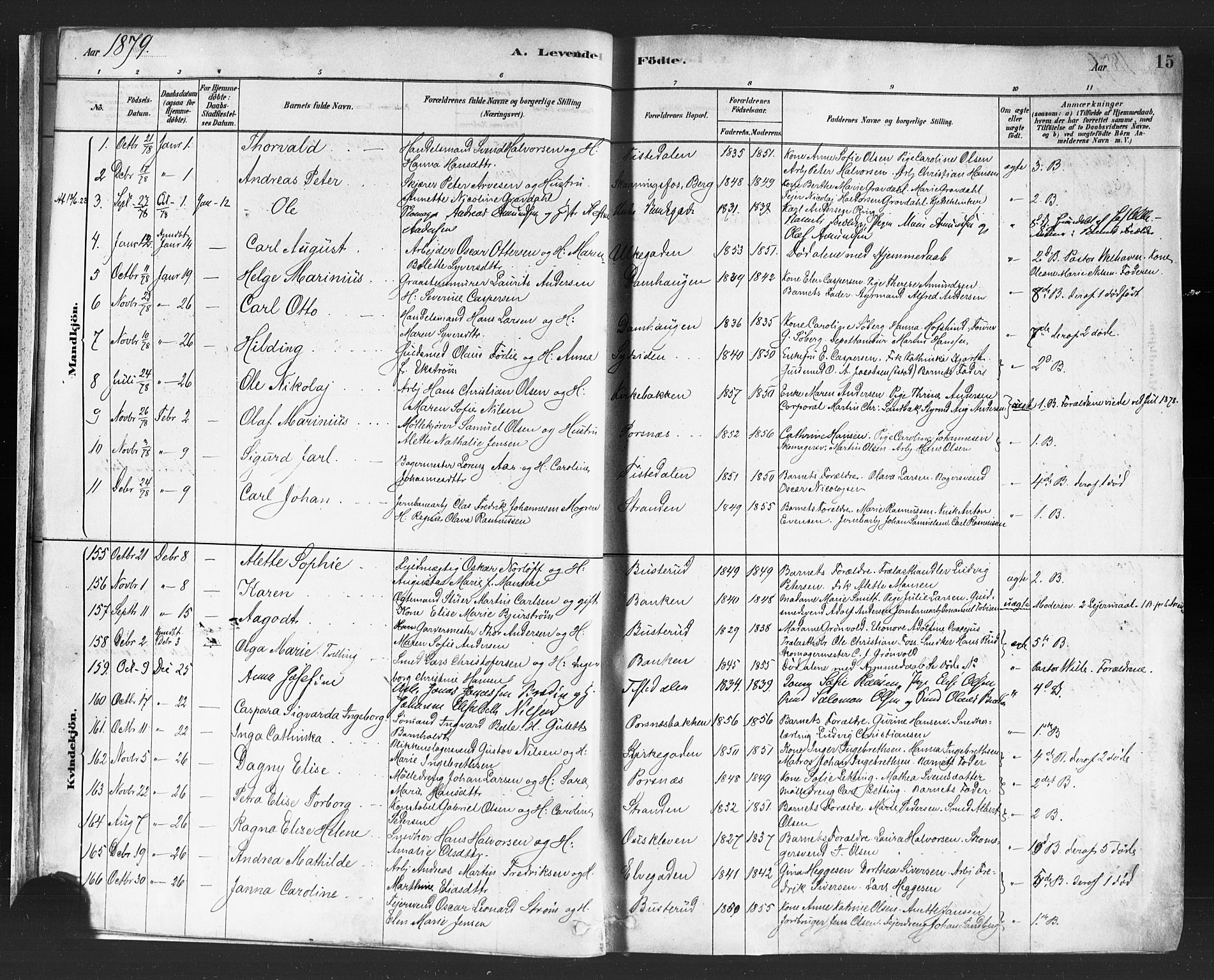 Halden prestekontor Kirkebøker, AV/SAO-A-10909/F/Fa/L0011: Parish register (official) no. I 11, 1878-1889, p. 15