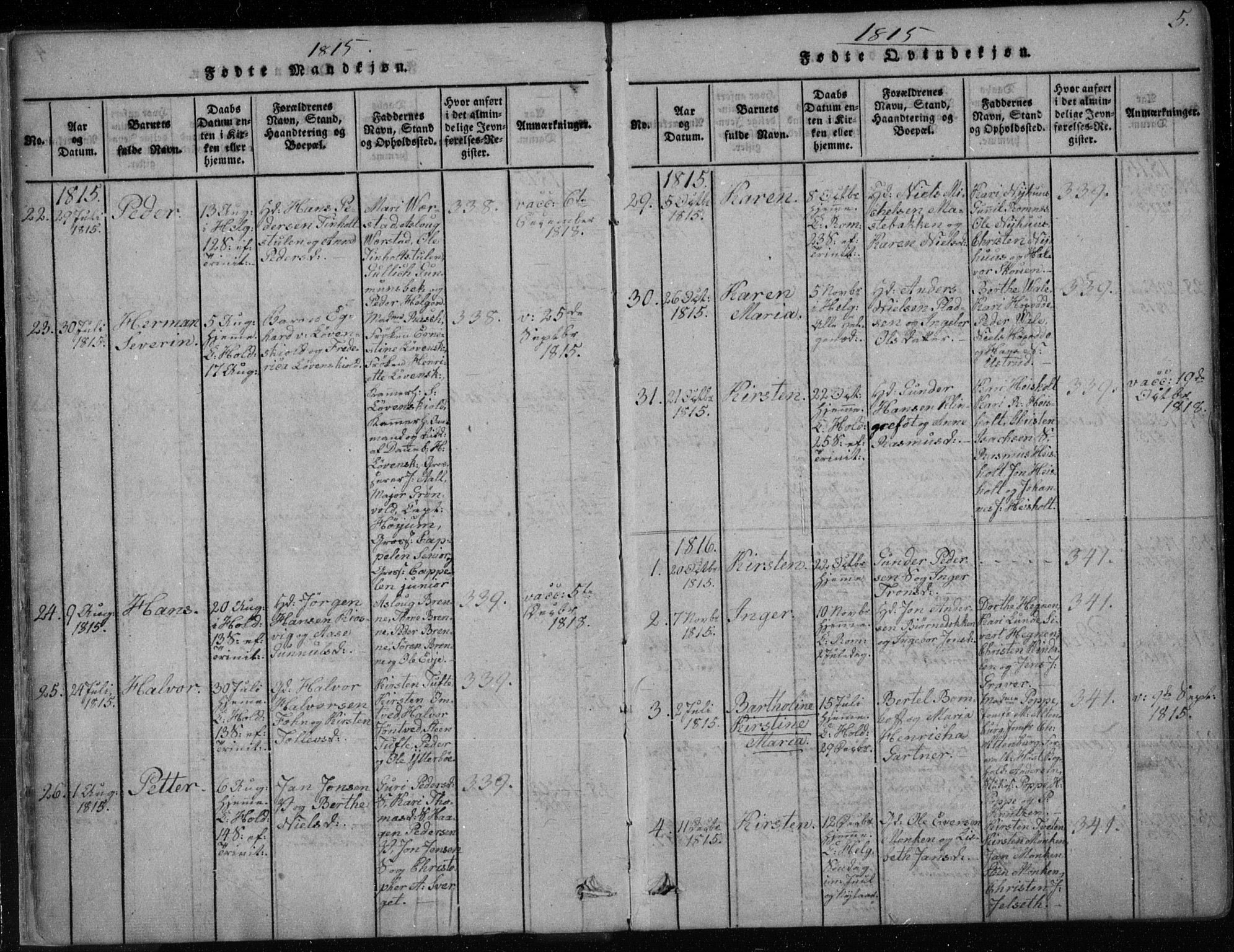 Holla kirkebøker, AV/SAKO-A-272/F/Fa/L0003: Parish register (official) no. 3, 1815-1830, p. 5