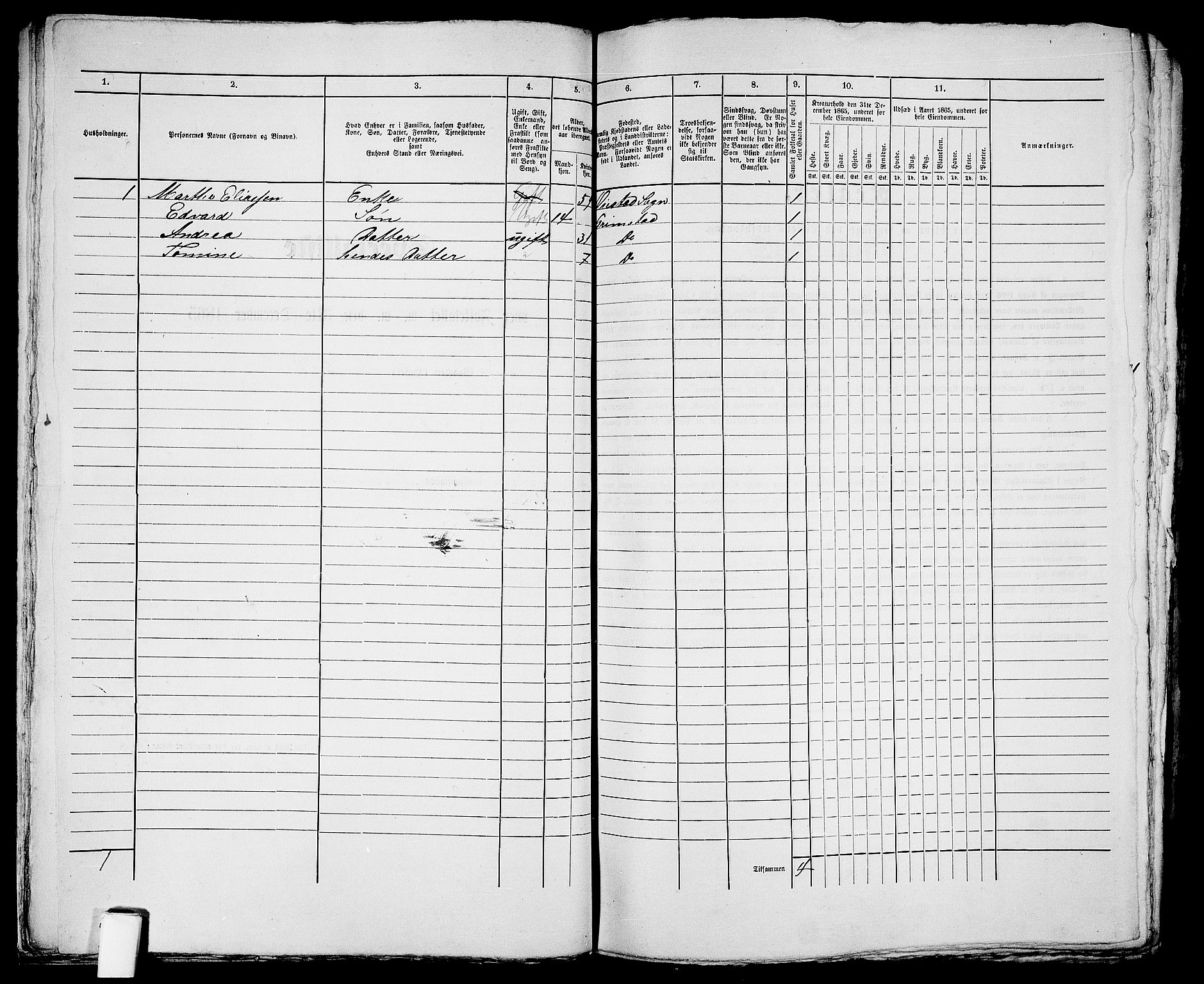 RA, 1865 census for Fjære/Grimstad, 1865, p. 51