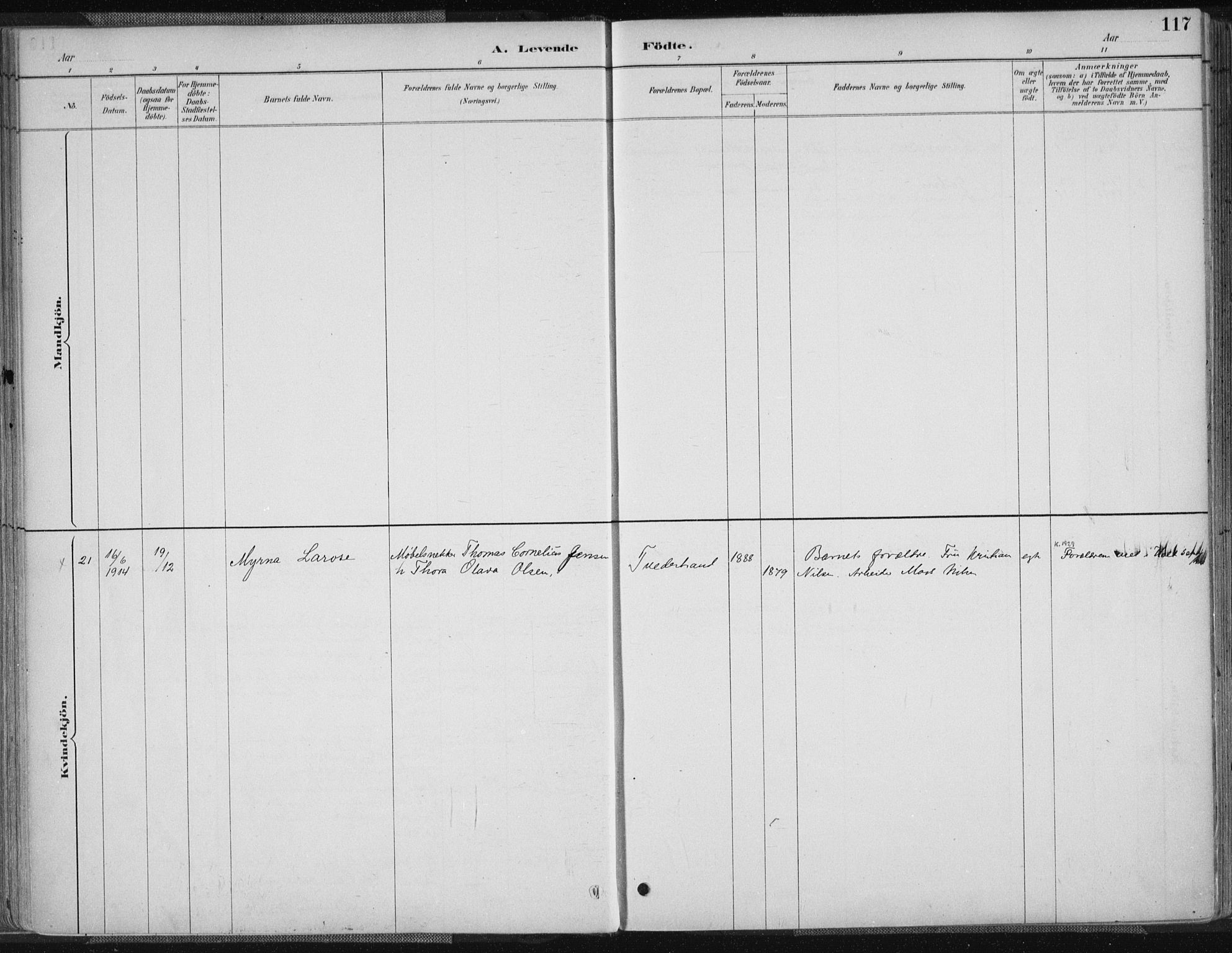 Tvedestrand sokneprestkontor, SAK/1111-0042/F/Fa/L0001: Parish register (official) no. A 1, 1885-1916, p. 117