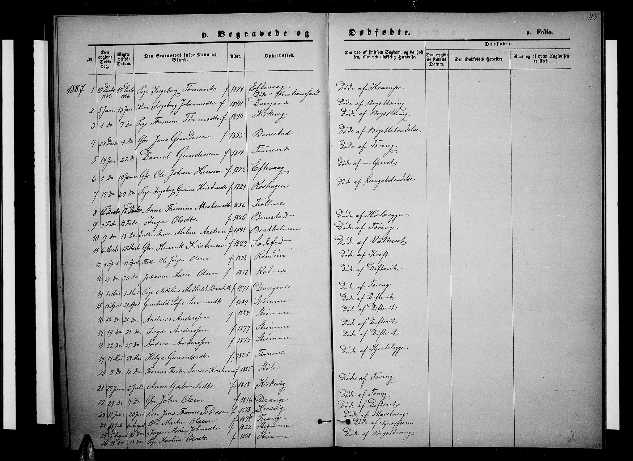 Oddernes sokneprestkontor, SAK/1111-0033/F/Fb/Fbb/L0001: Parish register (copy) no. B 1, 1871-1888, p. 113