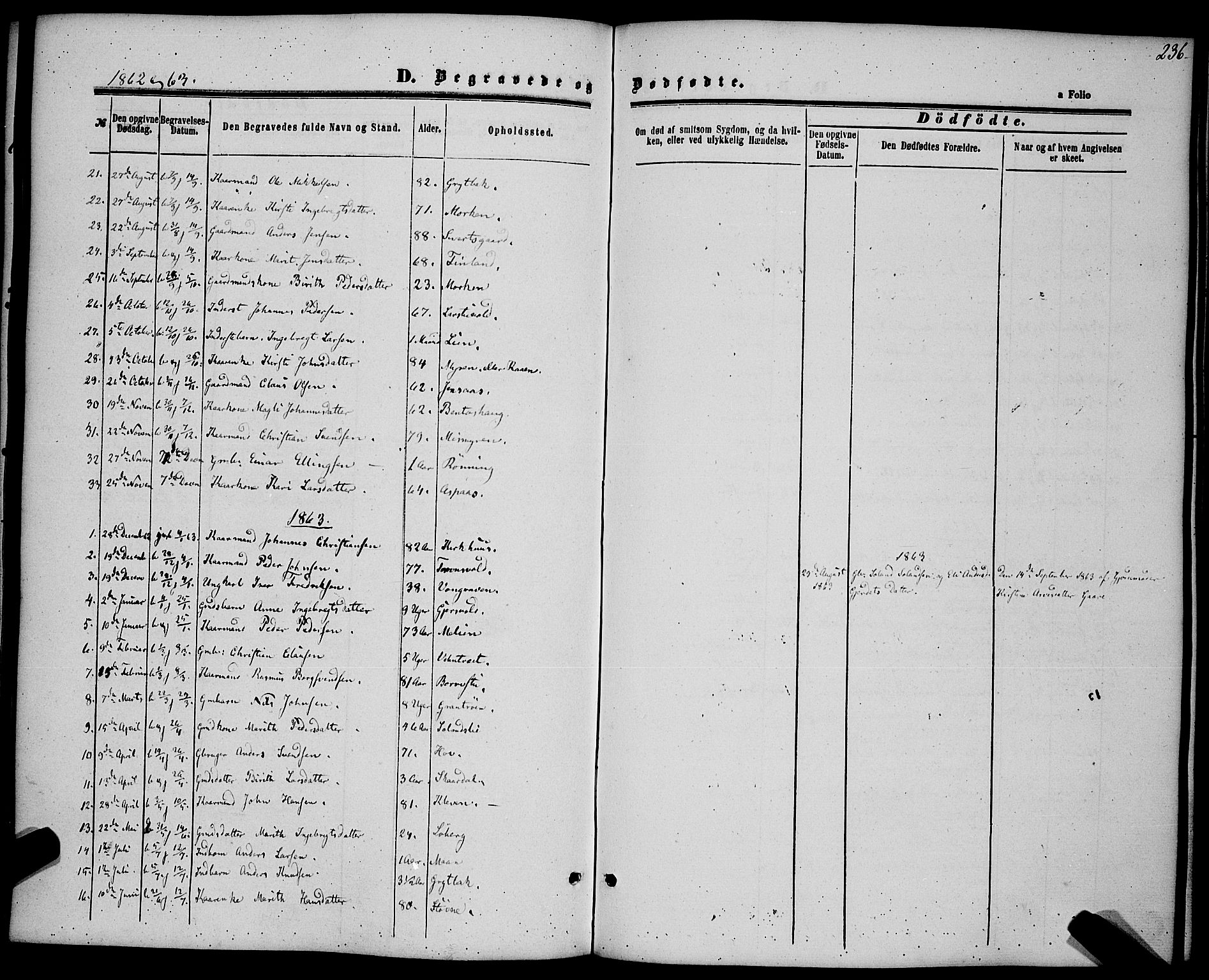 Ministerialprotokoller, klokkerbøker og fødselsregistre - Sør-Trøndelag, SAT/A-1456/685/L0968: Parish register (official) no. 685A07 /3, 1860-1869, p. 236