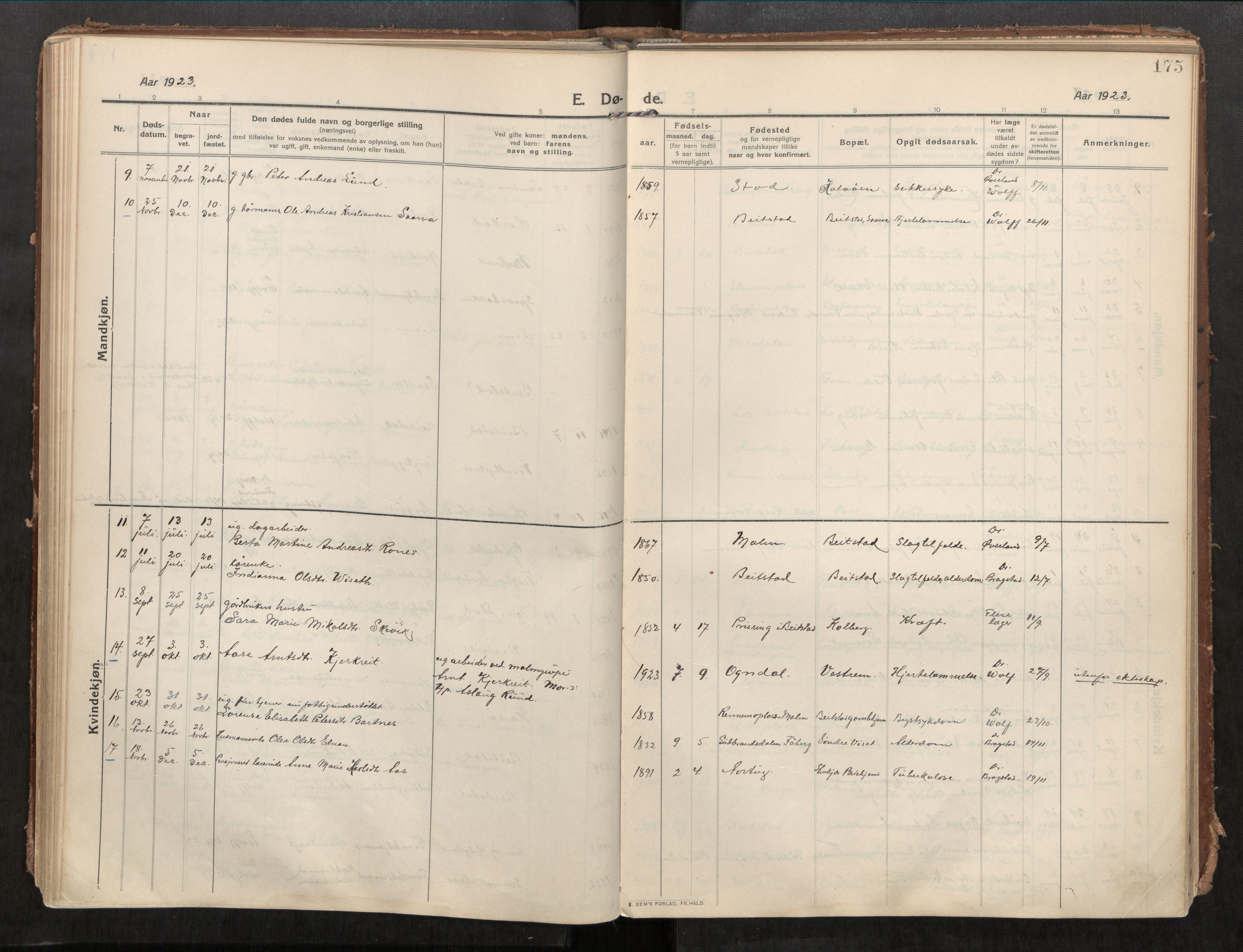 Beitstad sokneprestkontor, SAT/A-1162/I/I1/I1a/L0001: Parish register (official) no. 1, 1912-1927, p. 175