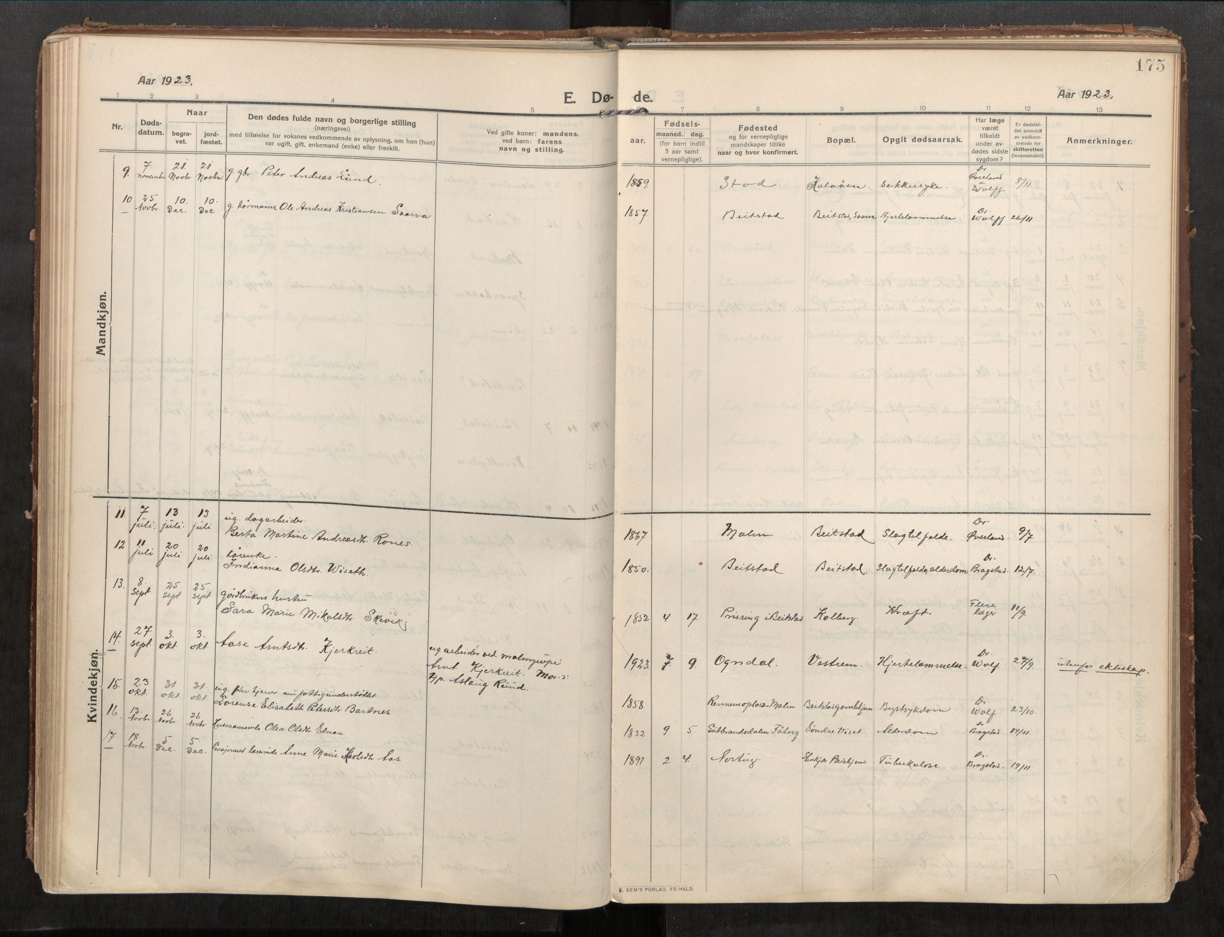 Beitstad sokneprestkontor, AV/SAT-A-1162/I/I1/I1a/L0001: Parish register (official) no. 1, 1912-1927, p. 175