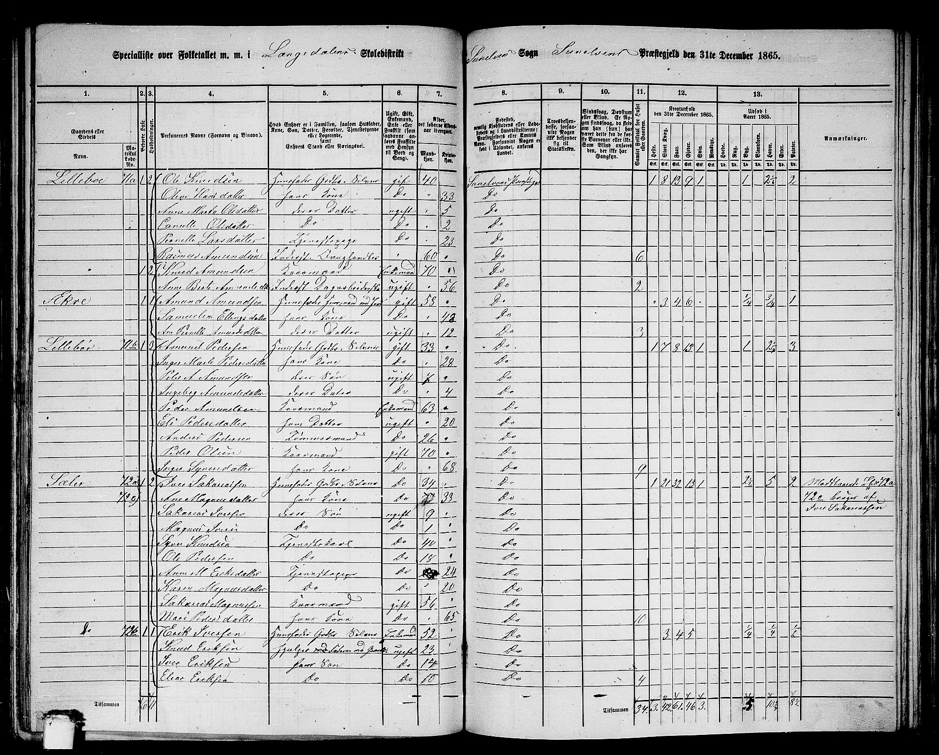 RA, 1865 census for Sunnylven, 1865, p. 25