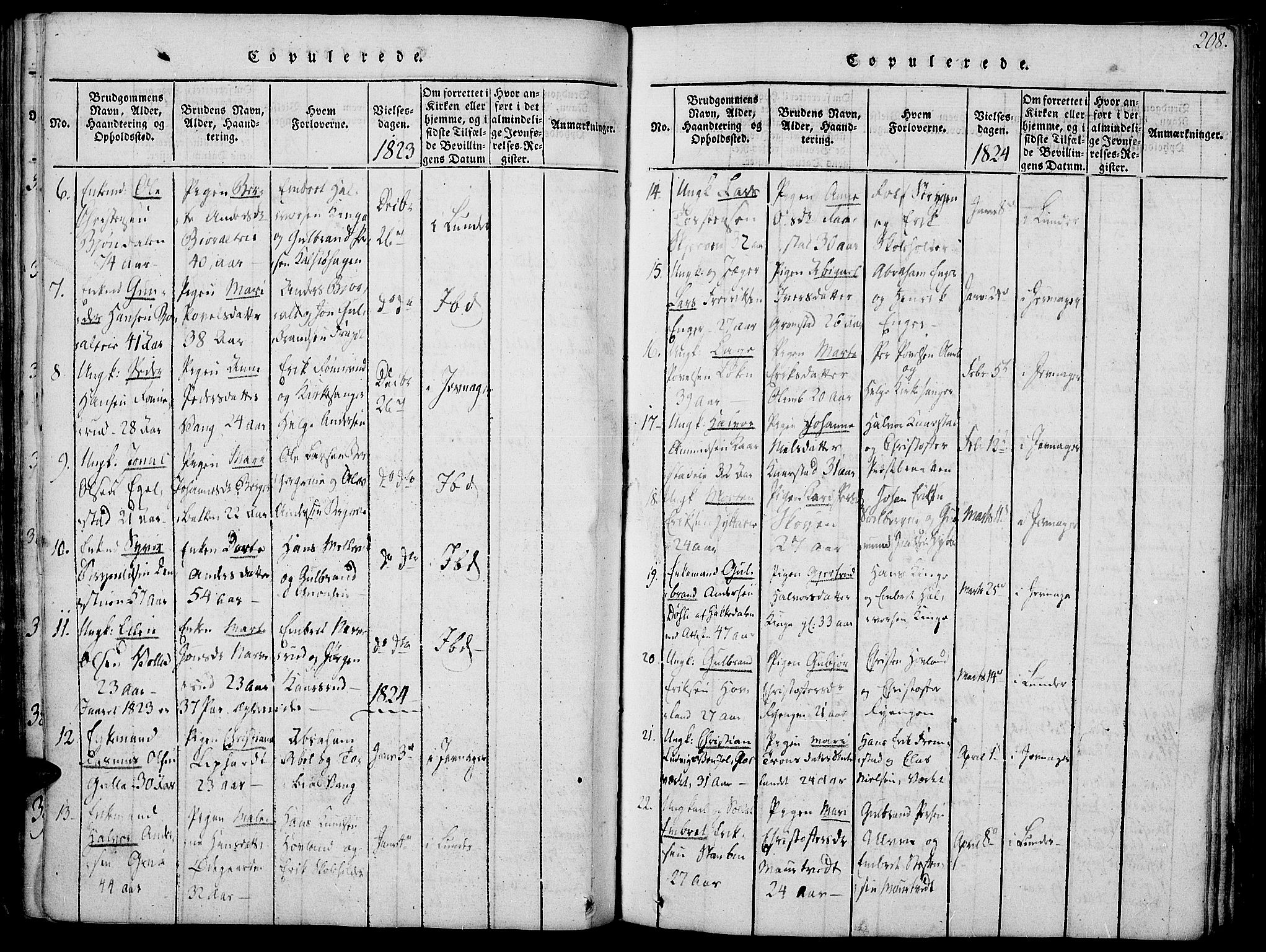 Jevnaker prestekontor, SAH/PREST-116/H/Ha/Haa/L0005: Parish register (official) no. 5, 1815-1837, p. 208