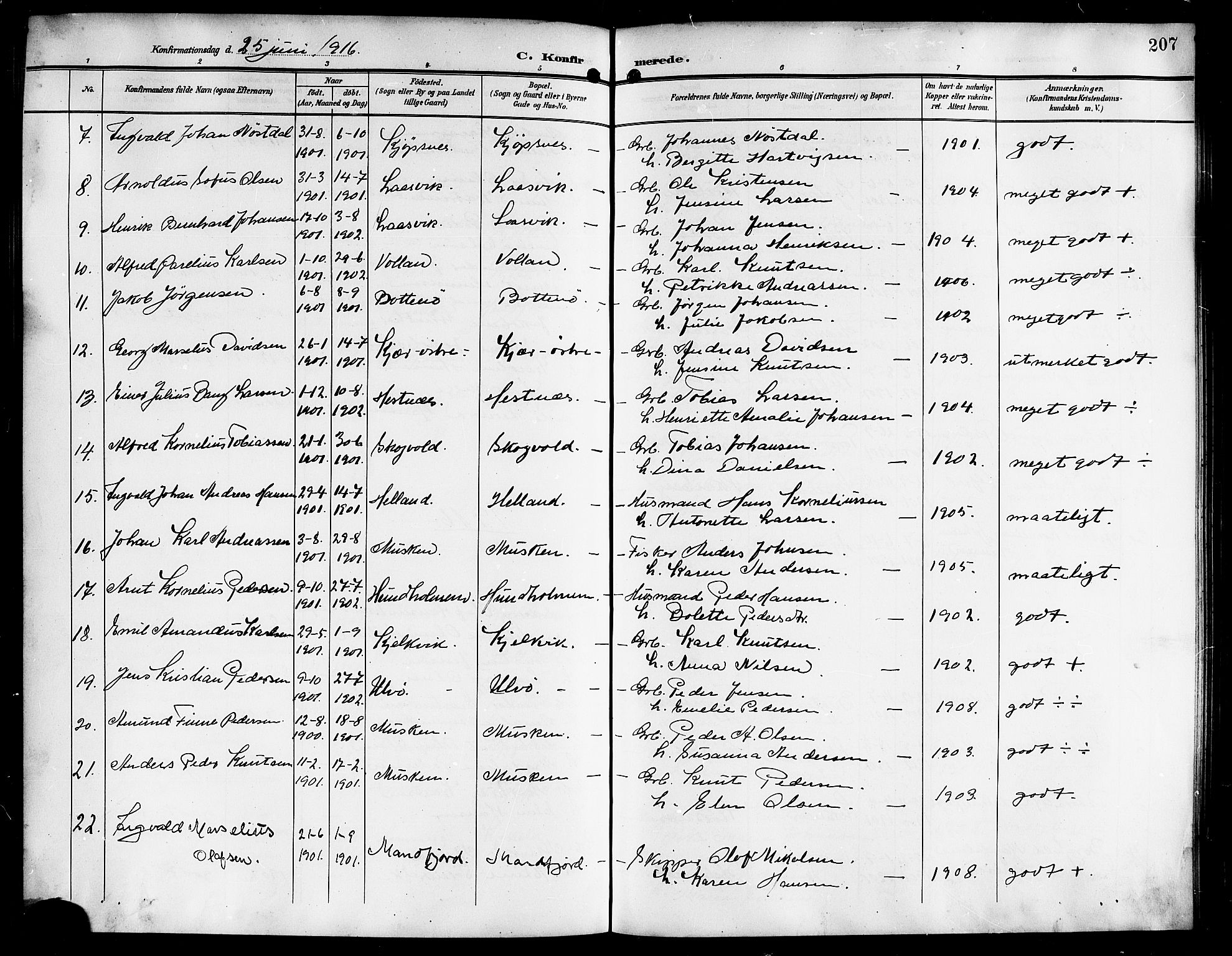 Ministerialprotokoller, klokkerbøker og fødselsregistre - Nordland, AV/SAT-A-1459/861/L0877: Parish register (copy) no. 861C03, 1903-1919, p. 207