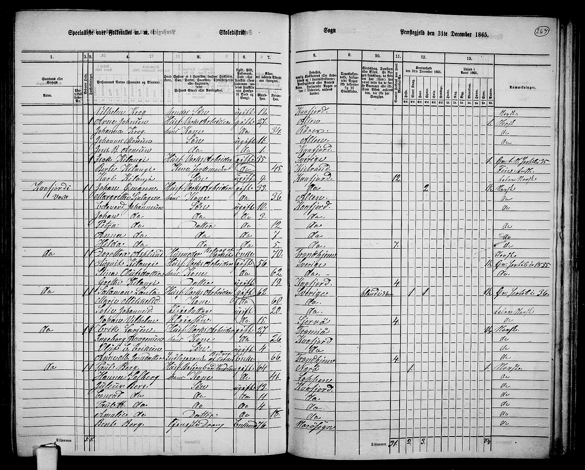 RA, 1865 census for Alta, 1865, p. 90