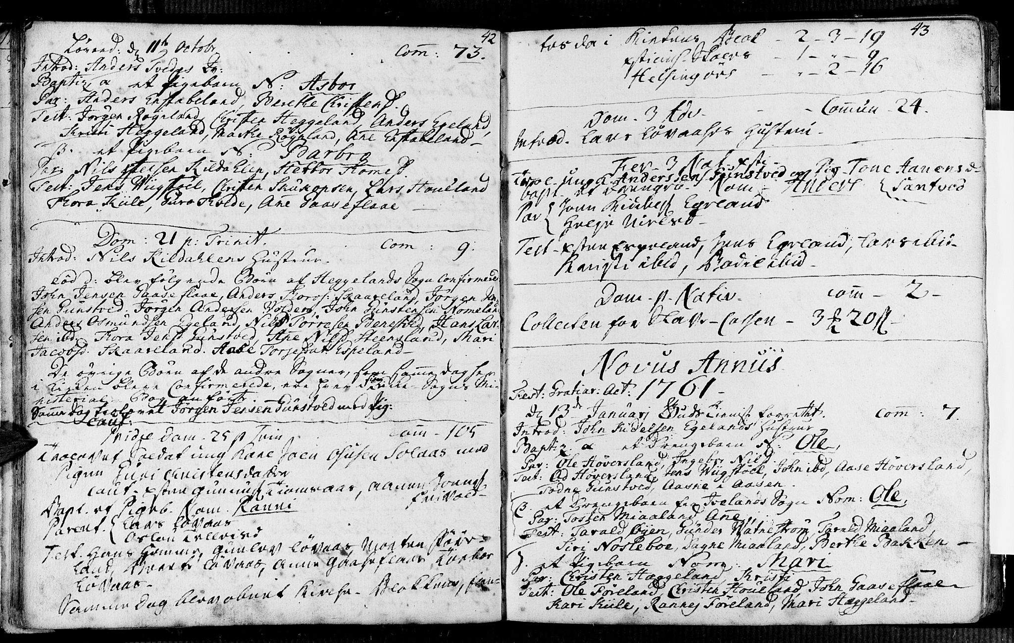 Vennesla sokneprestkontor, AV/SAK-1111-0045/Fa/Faa/L0001: Parish register (official) no. A 1, 1753-1785, p. 42-43