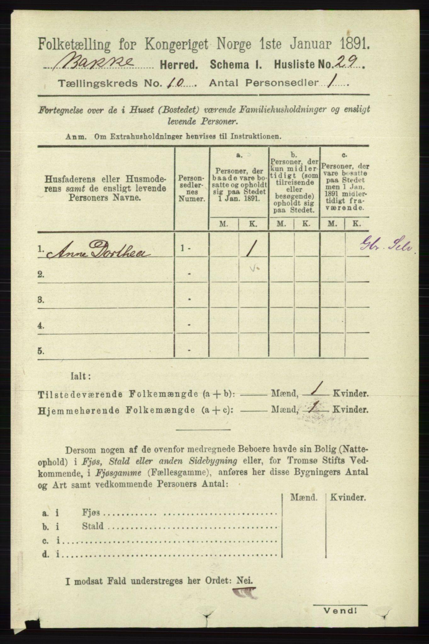 RA, 1891 census for 1045 Bakke, 1891, p. 1993