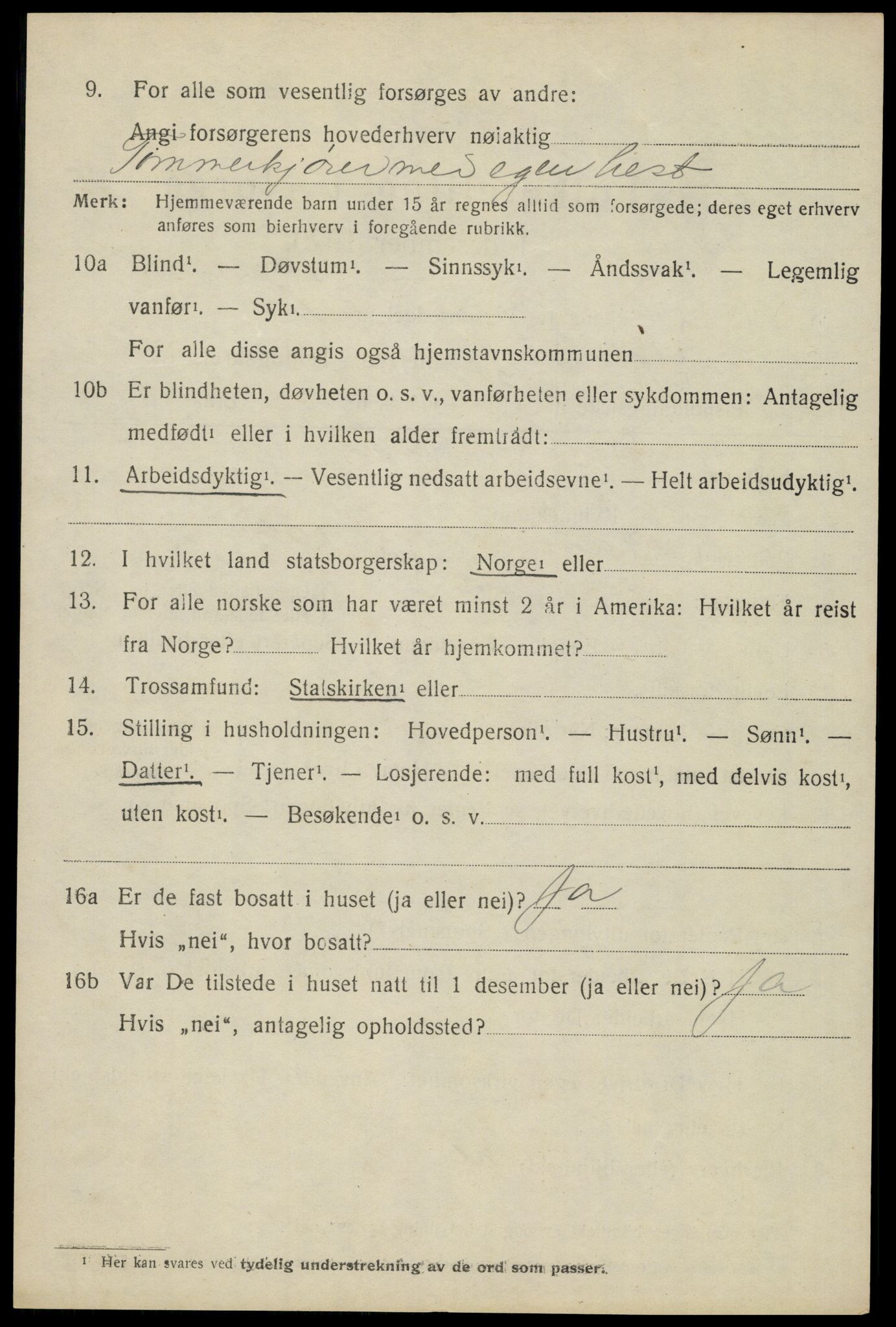 SAH, 1920 census for Trysil, 1920, p. 13785